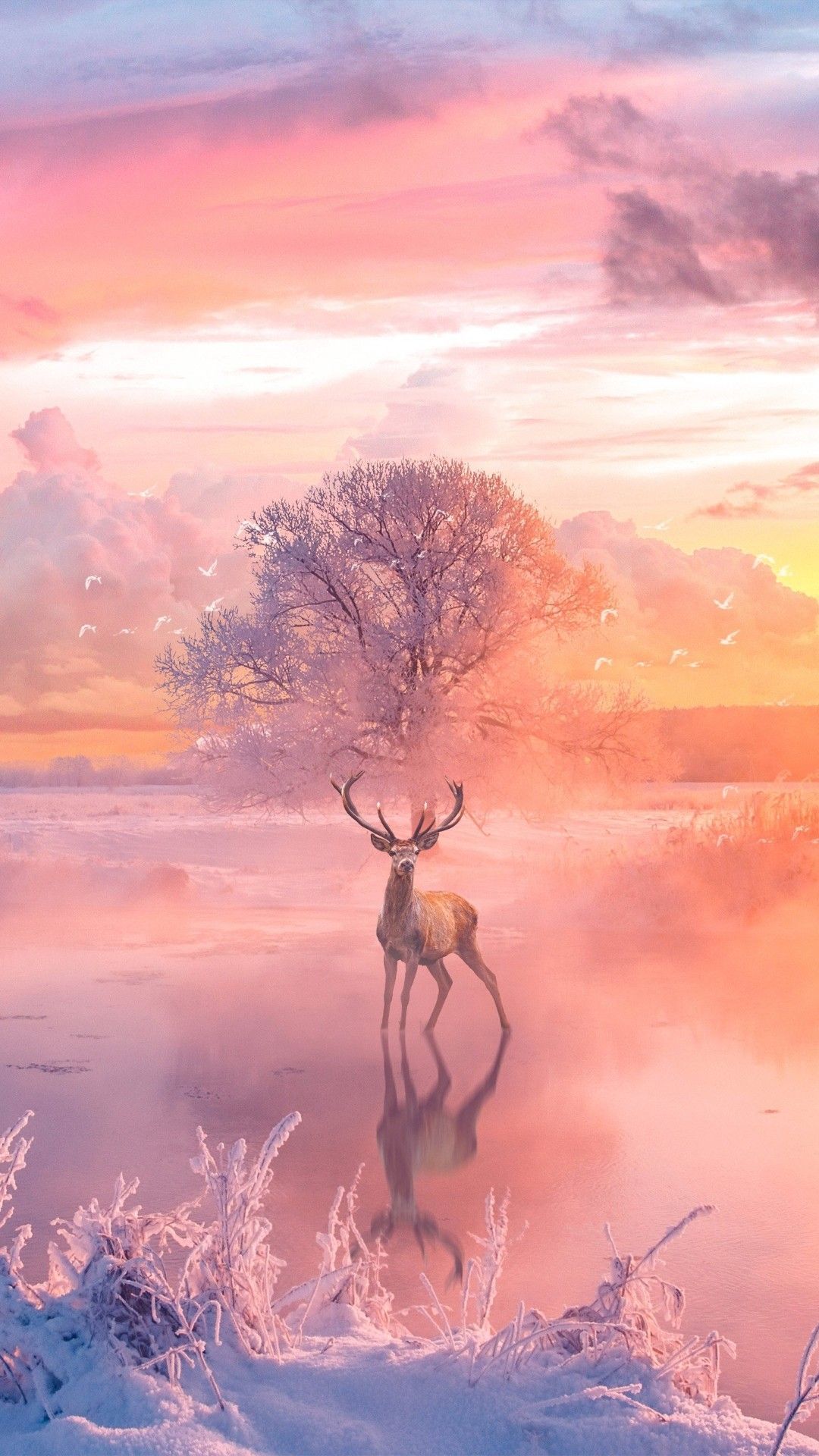 Hirsch, Baum, Rosa Himmel, Fantasy, Spiegelung, Full HD, Sperrbildschirm fürs iPhone