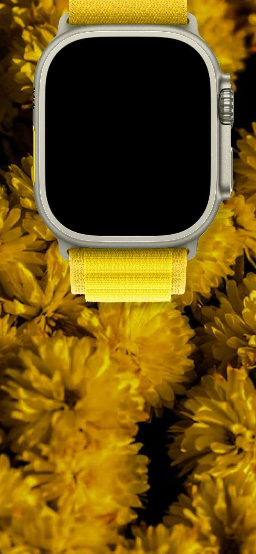 Apple Watch Ultra, Gelb, Blumen, Armband, Zifferblatt