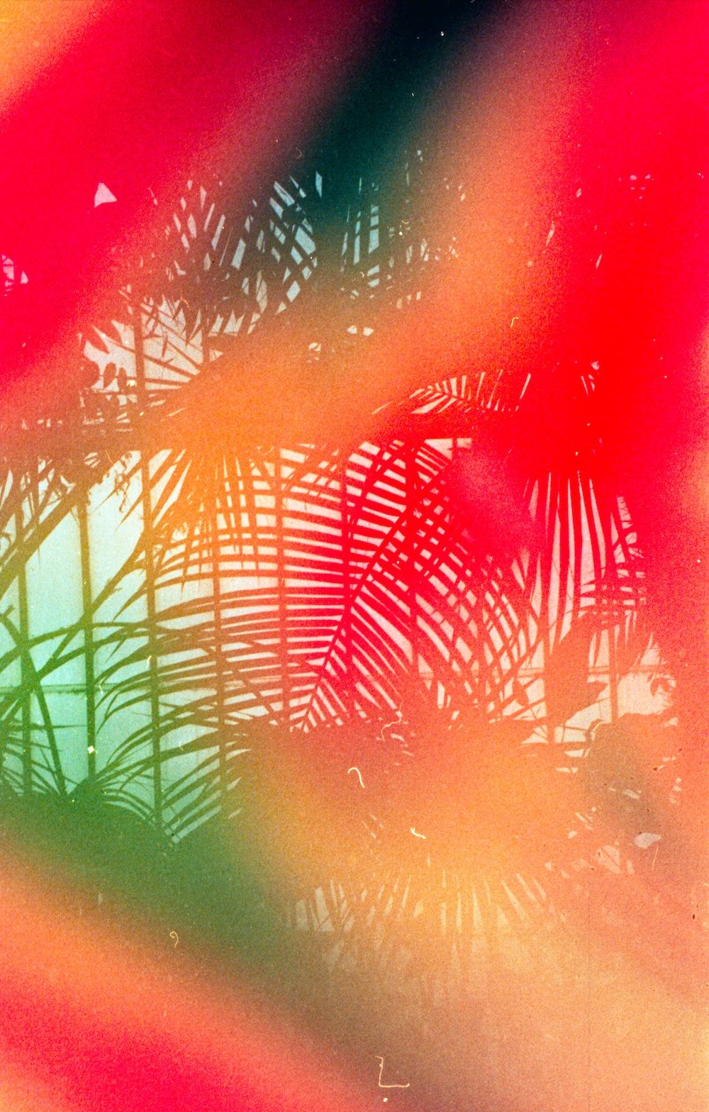 Palmblätter, Unscharf, Rot, Grün, Bunt, Apple Watch, Hintergrundbild