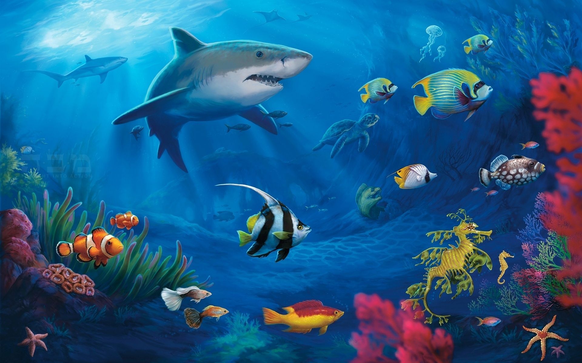 Hai, Tropische Fische, Clownfische, Korallenriff, Illustration, Seepferdchen, Full-HD-Hintergrundbild