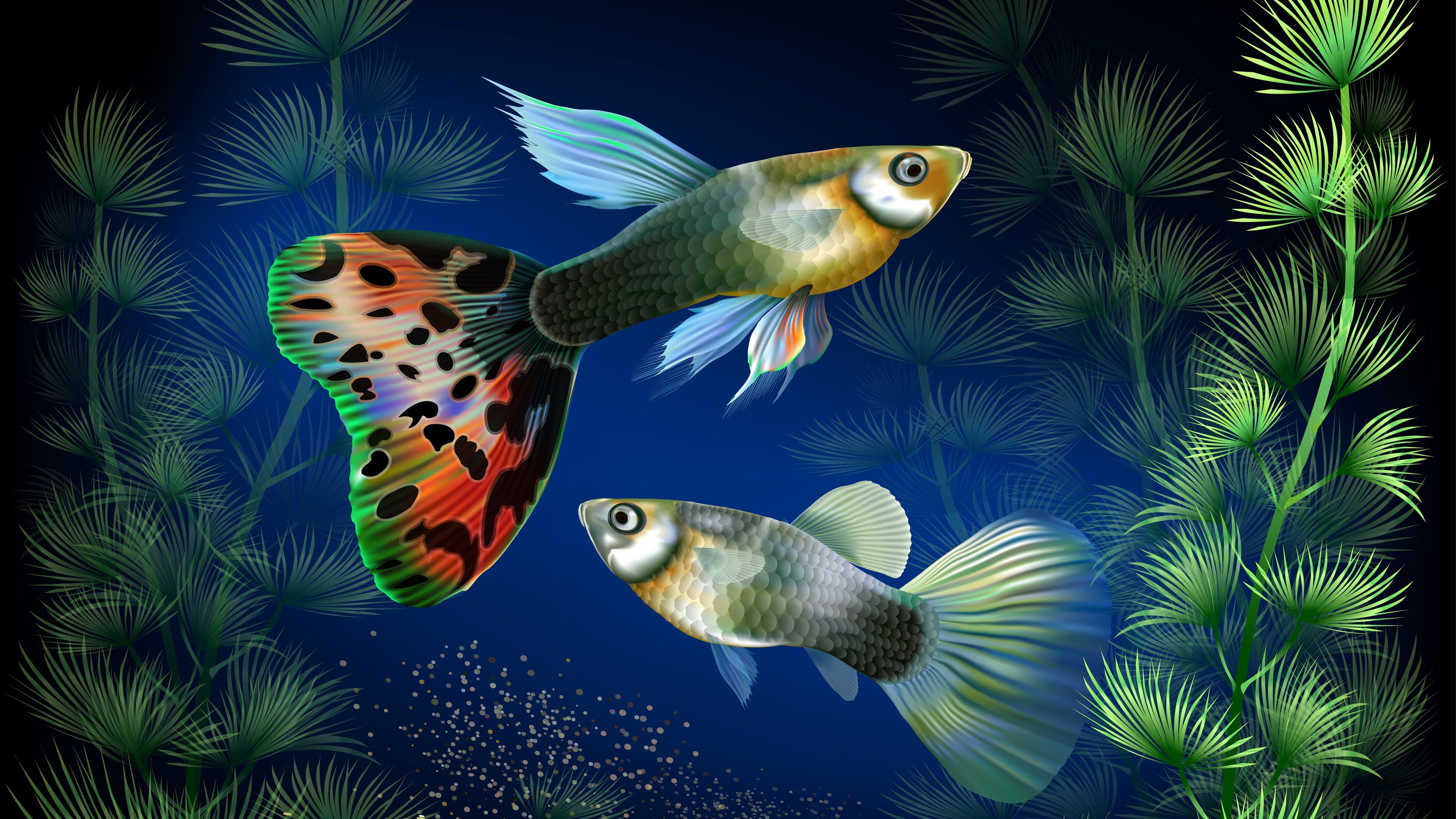 Guppys, Wasserpflanzen, Zierfische, Illustration, Dunkelgrün, 4K, Windows-Hintergrundbild