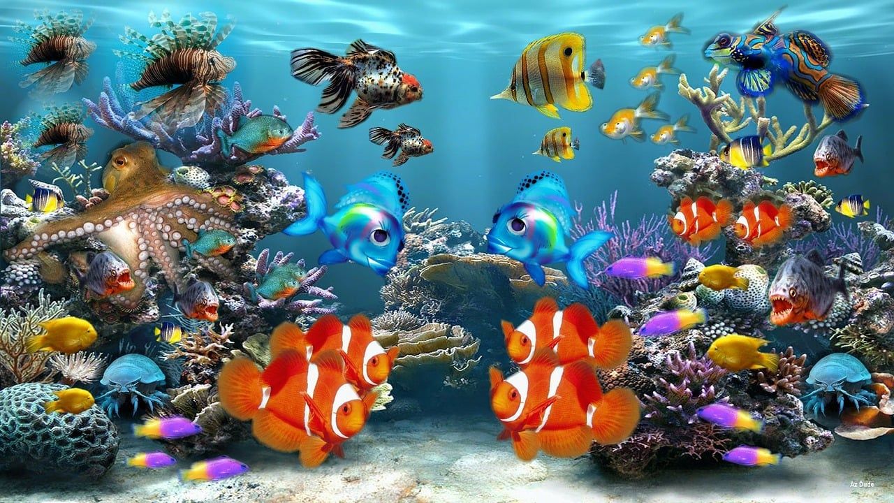 Clownfische, Rotfeuerfisch, Bunte Fische, Korallen, 3D-Grafik, HD, PC-Hintergrundbild