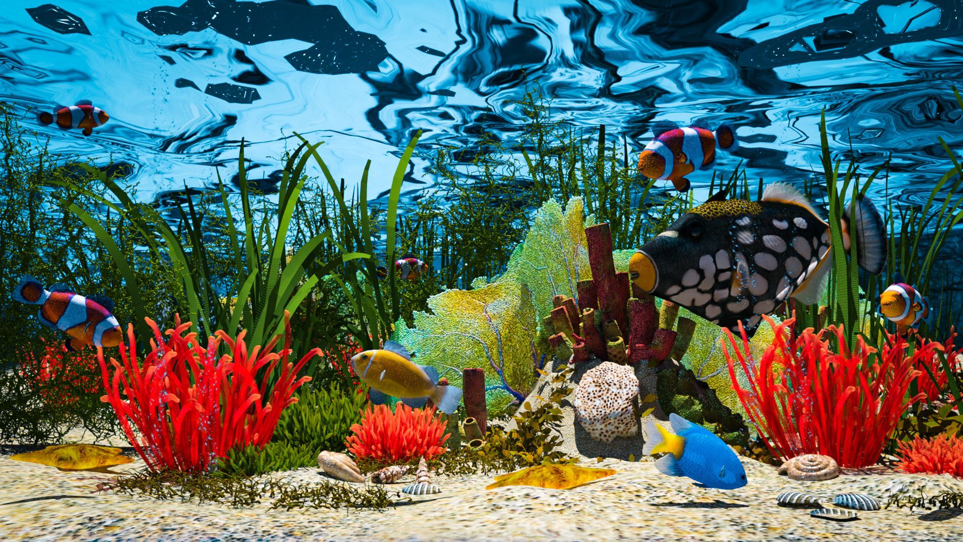 Drückerfisch, Rote Korallen, Unterwasser, Sandboden, Wasseroberfläche, Full-HD-Hintergrundbild für PC