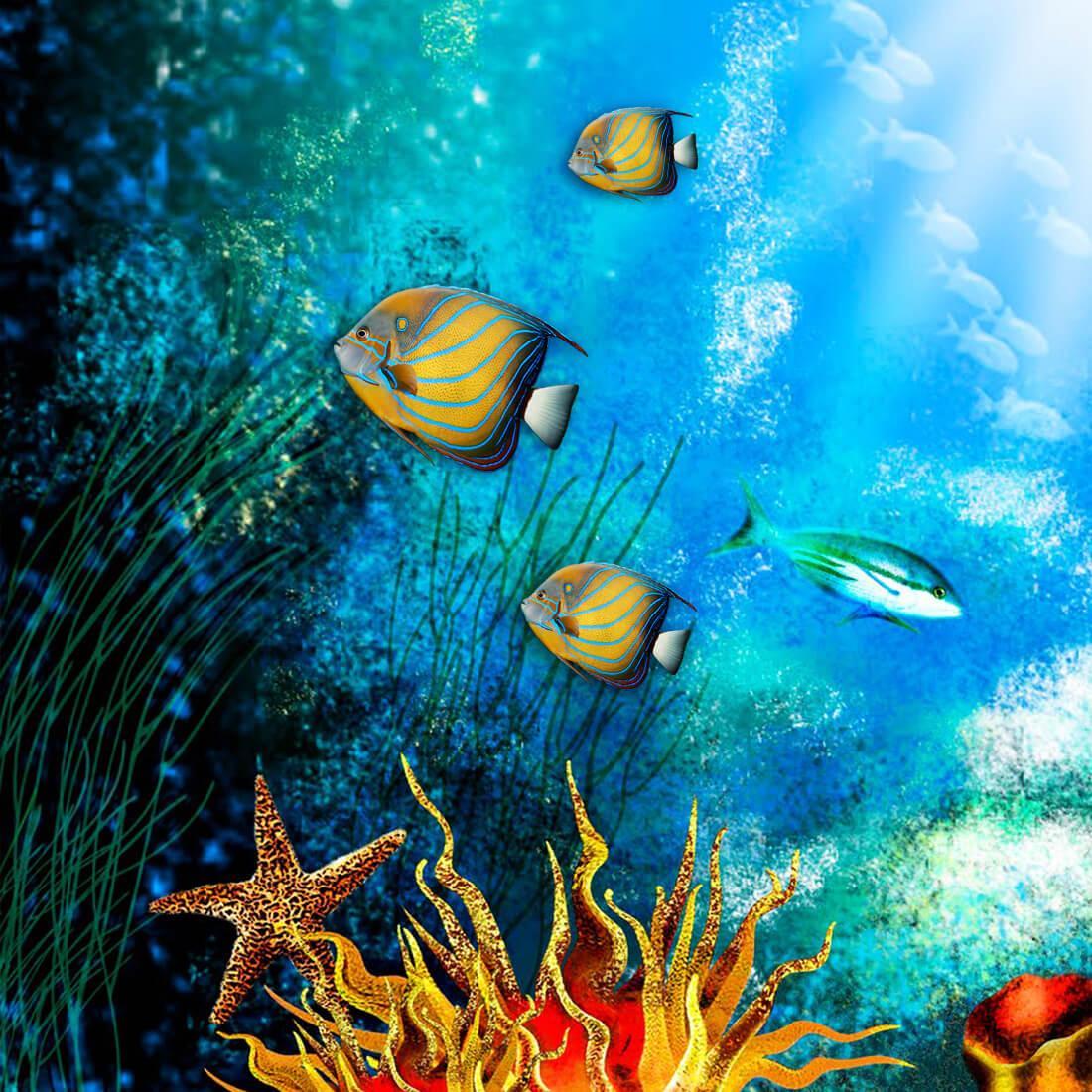 Kaiserfische, Seestern, Korallen, Luftblasen, Unterwasser, Hintergrundbild fürs Tablet