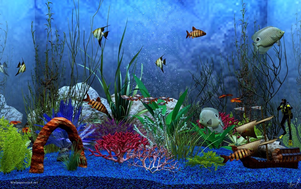 Aquariumdekoration, Schiffswrack, Taucherfigur, Blauer Kies, Aquarienfische, HD-PC-Hintergrundbild
