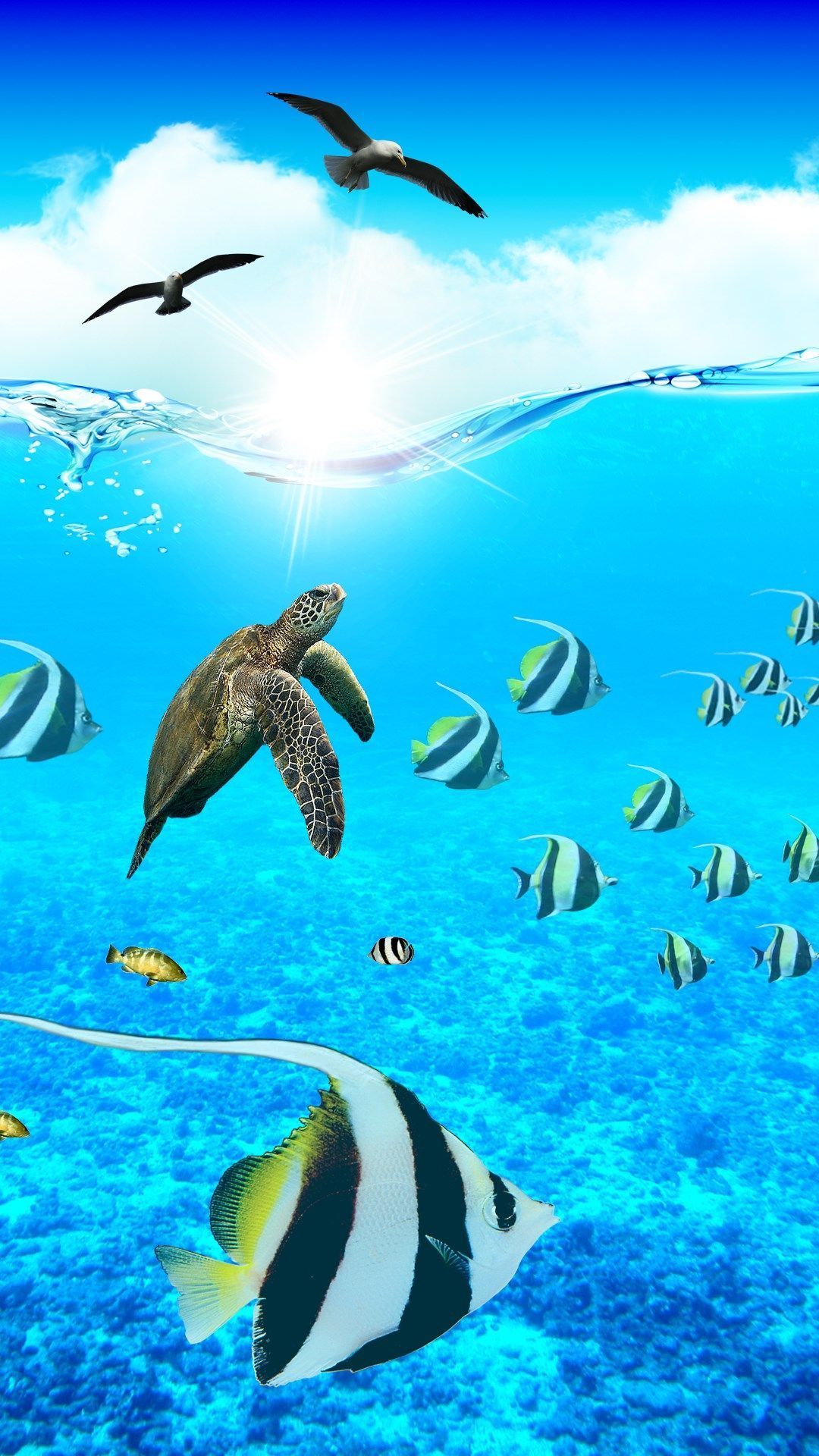 Meeresschildkröte, Wimpelfisch, Möwen, Wasseroberfläche, Fischschwarm, Blau, Full-HD-Handy-Hintergrundbild