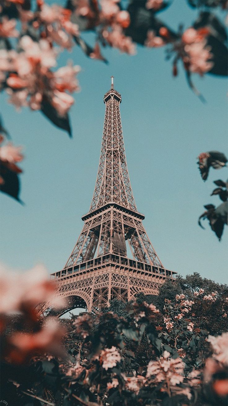 Eiffelturm, Paris, Kirschblüten, Blauer Himmel, HD, Hintergrundbild fürs Handy
