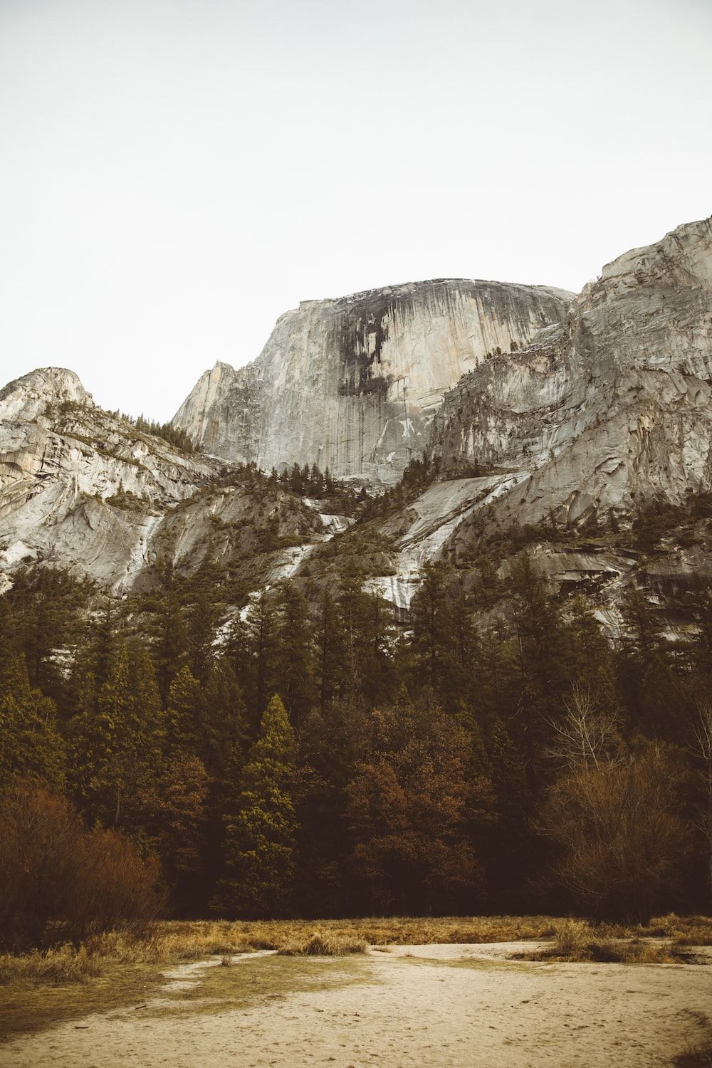 Half Dome, Yosemite-Nationalpark, Felswand, Wald, Fluss, Android-Hintergrundbild