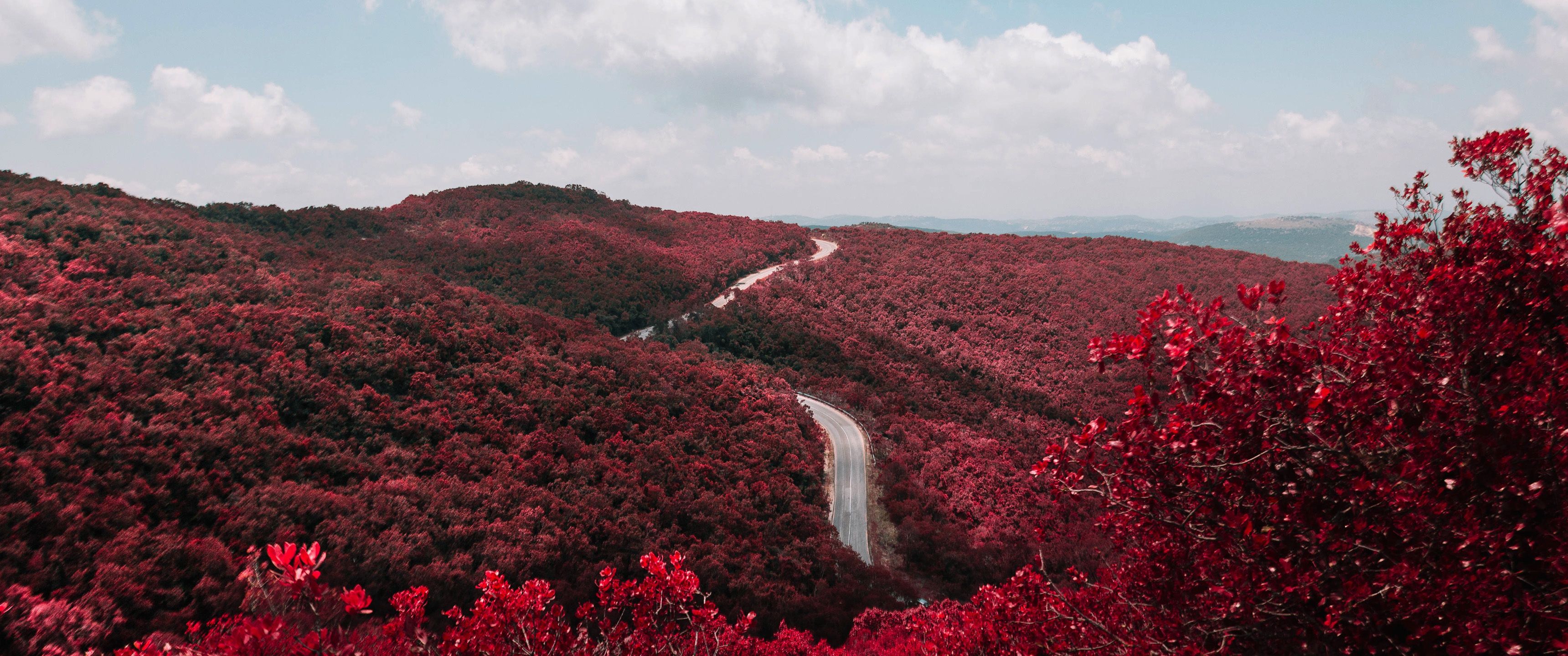 Rote Blätter, Hügel, Straße, Herbst, Landschaft, 2K, Desktop-Hintergrund für Windows