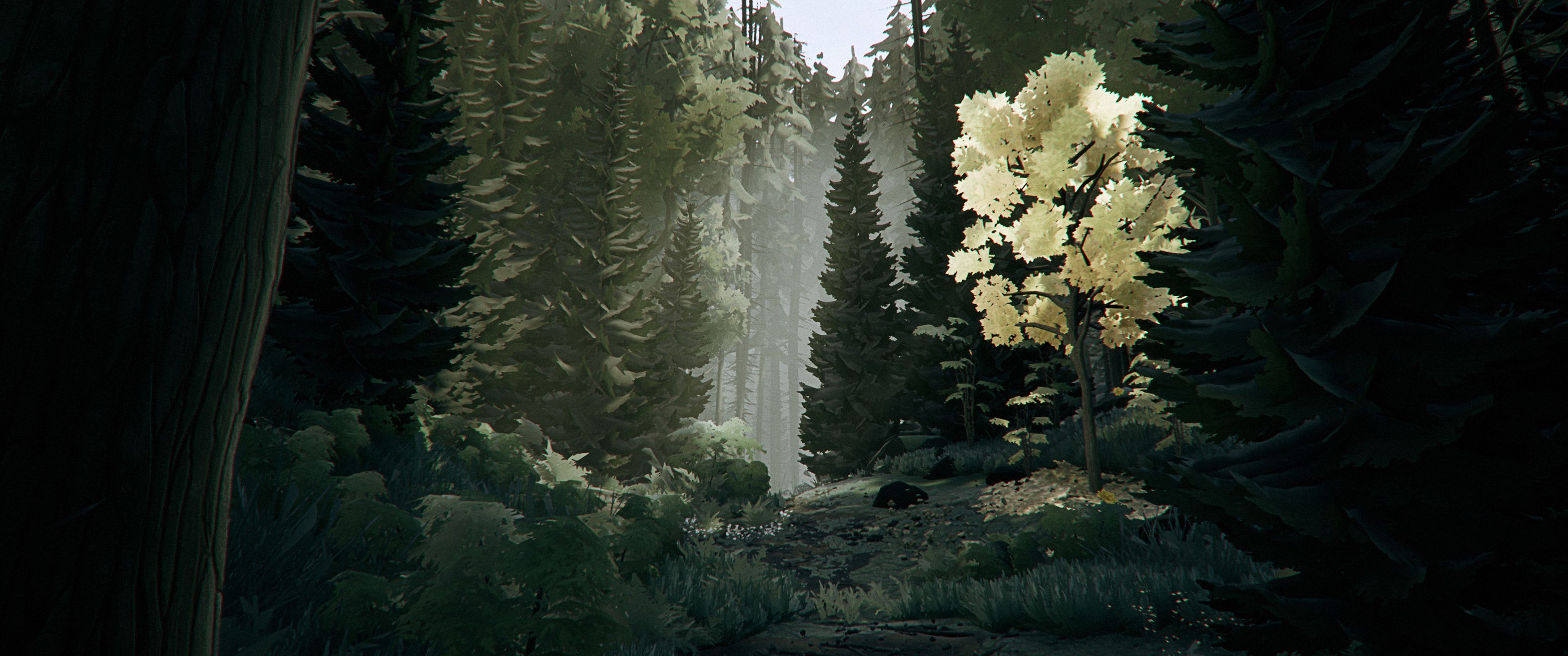 Wald, Bäume, Grün, Natur, Dunkel, 21:9, 2K-Hintergrundbild für den Desktop