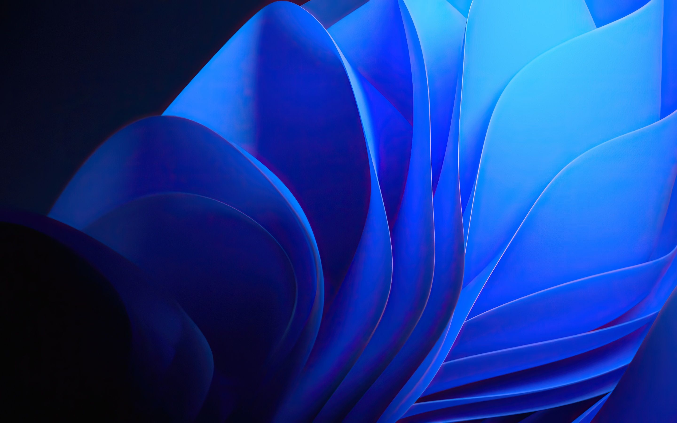 Windows 11, Bloom, Abstrakt, Blau, 2K, Hintergrund für den Desktop