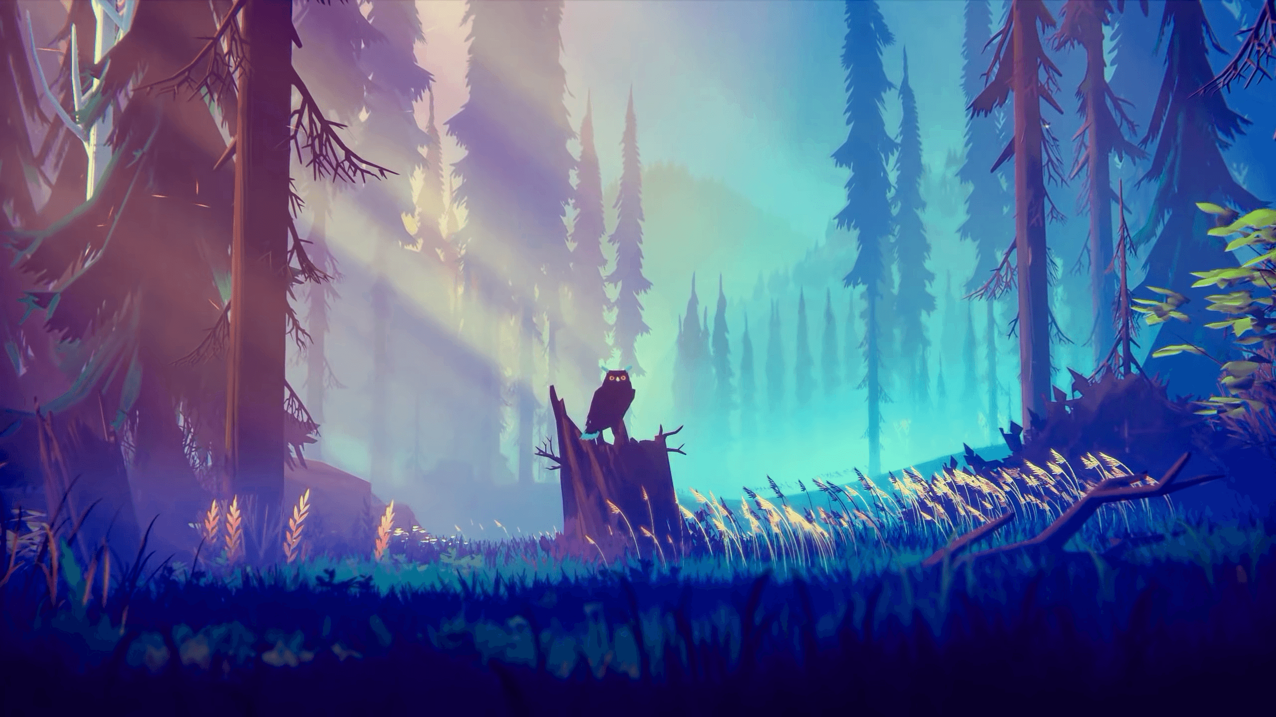 Wald, Polarlicht, Eule, Lichtstrahlen, Illustration, 2K, Hintergrundbild für den PC