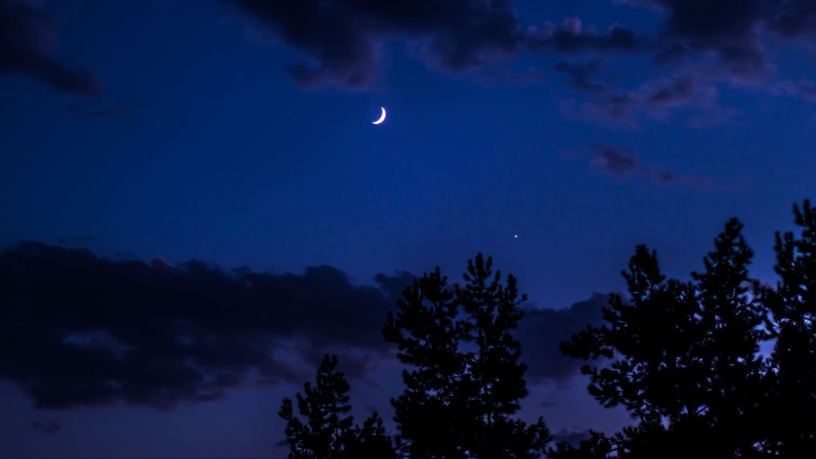 Nachthimmel, Mondsichel, Bäume, Wolken, Dunkelblau, HD, Hintergrundbild für den PC