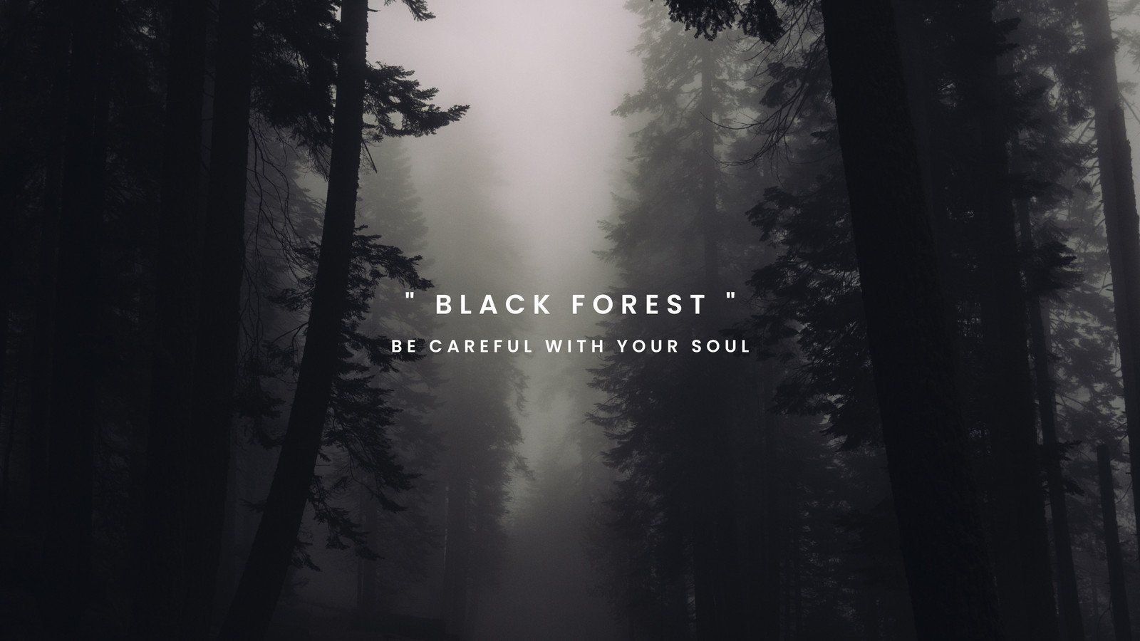 Black Forest, Be careful with your soul, Wald, Nebel, Dunkel, Text, HD, Windows-Hintergrundbild