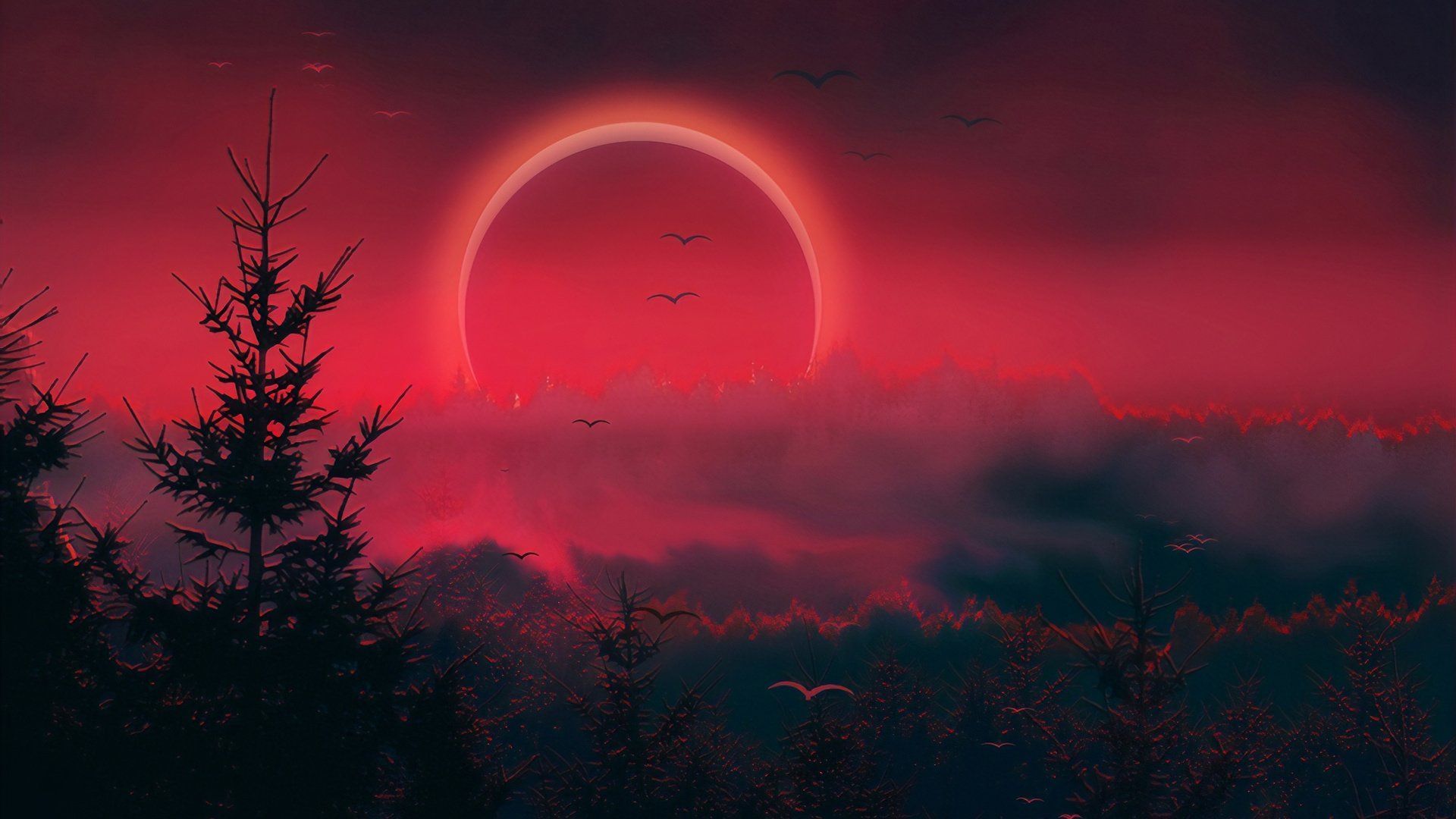 Sonnenfinsternis, Bäume, Nebel, Rot, Vögel, Full HD, Desktop-Hintergrund für Windows