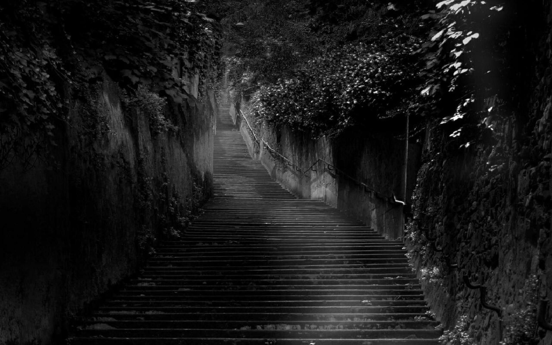 Treppe, Gasse, Bäume, Schwarz-Weiß, Nacht, 16:10, Full-HD-Hintergrundbild für den Desktop
