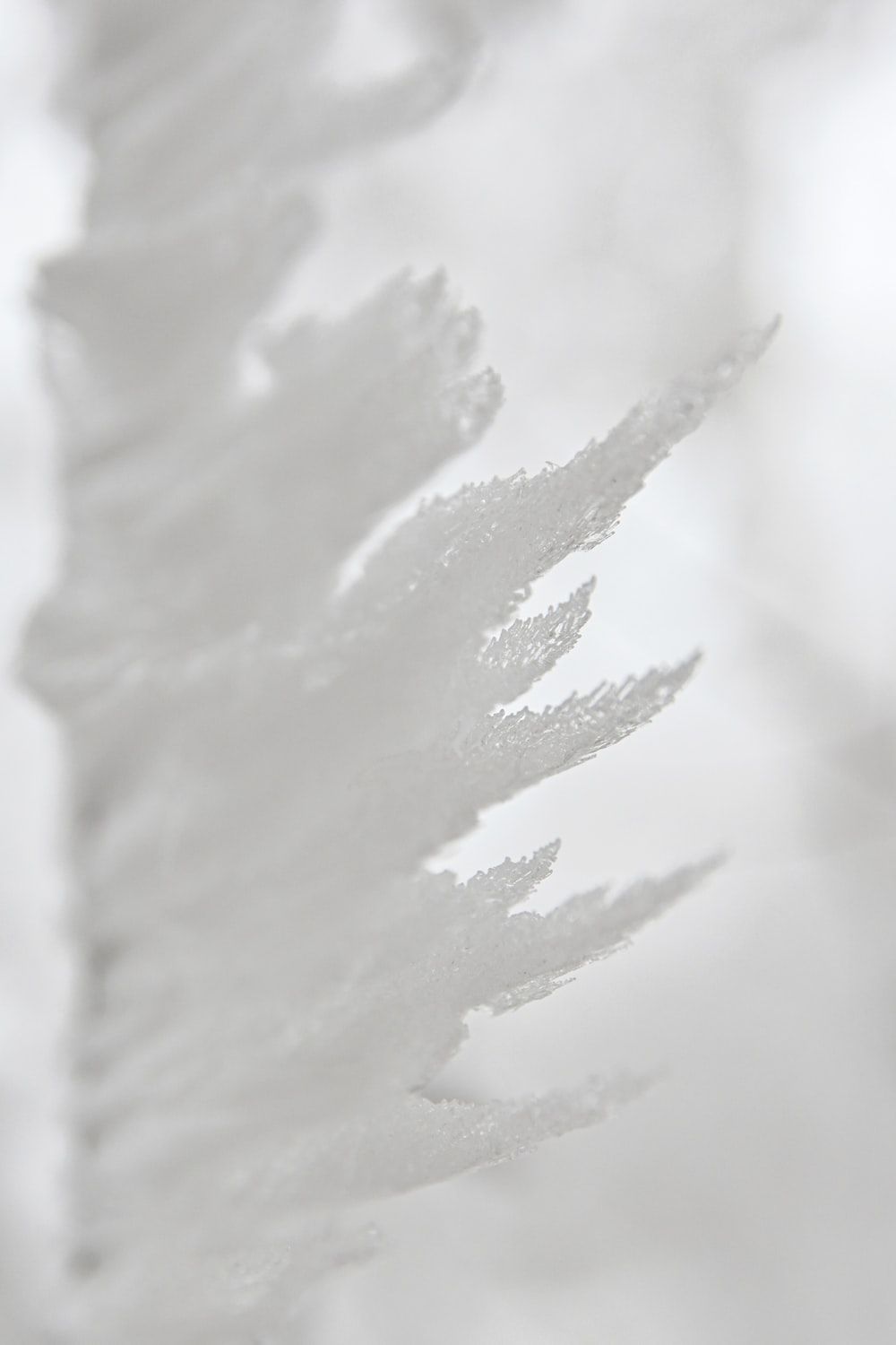Feder, Weiß, Grau, Minimalistisch, HD, Hintergrundbild fürs Handy