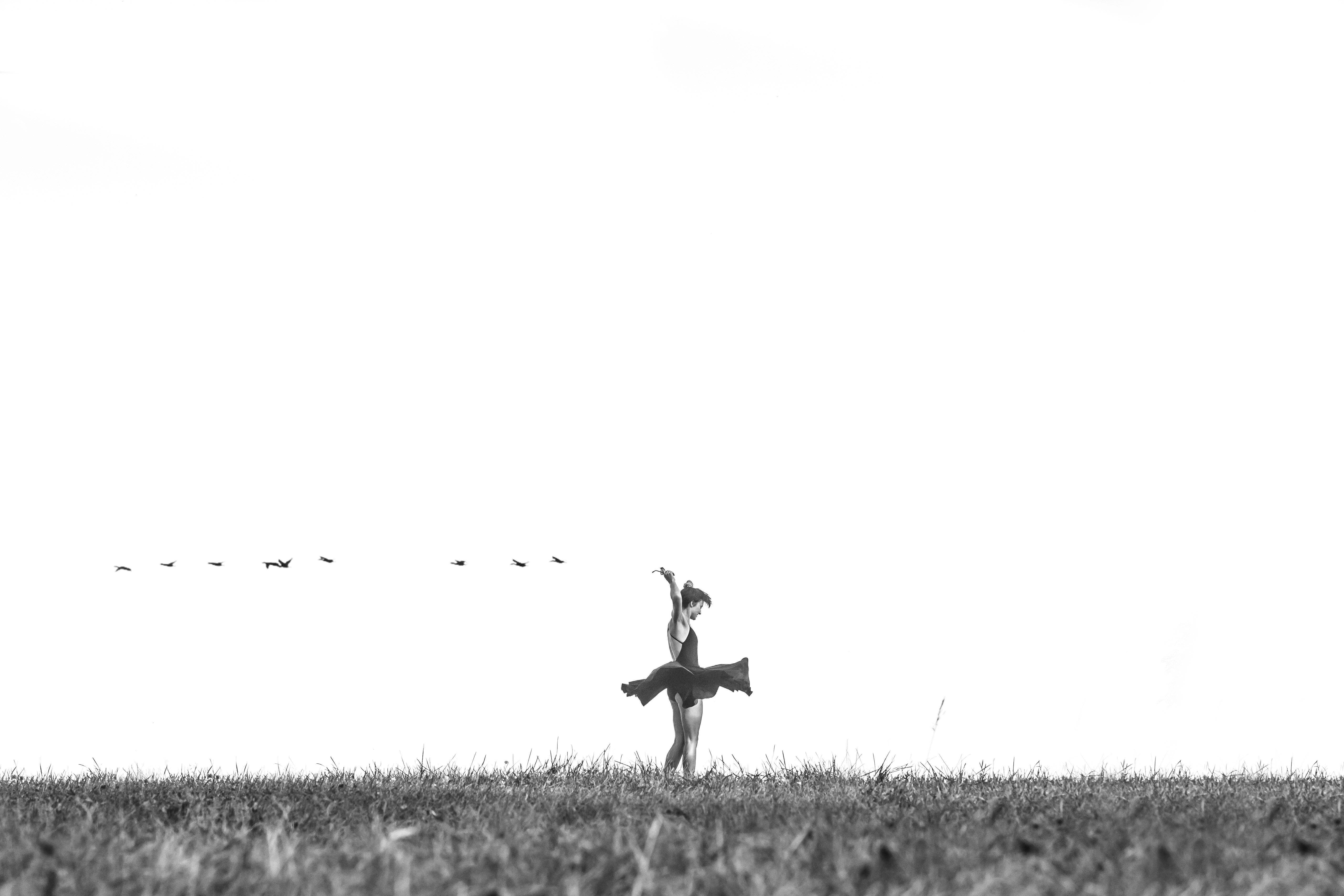 Vogelscheuche, Vögel, Feld, Schwarz-Weiß, Minimalistisch, 5K, Windows-Hintergrundbild