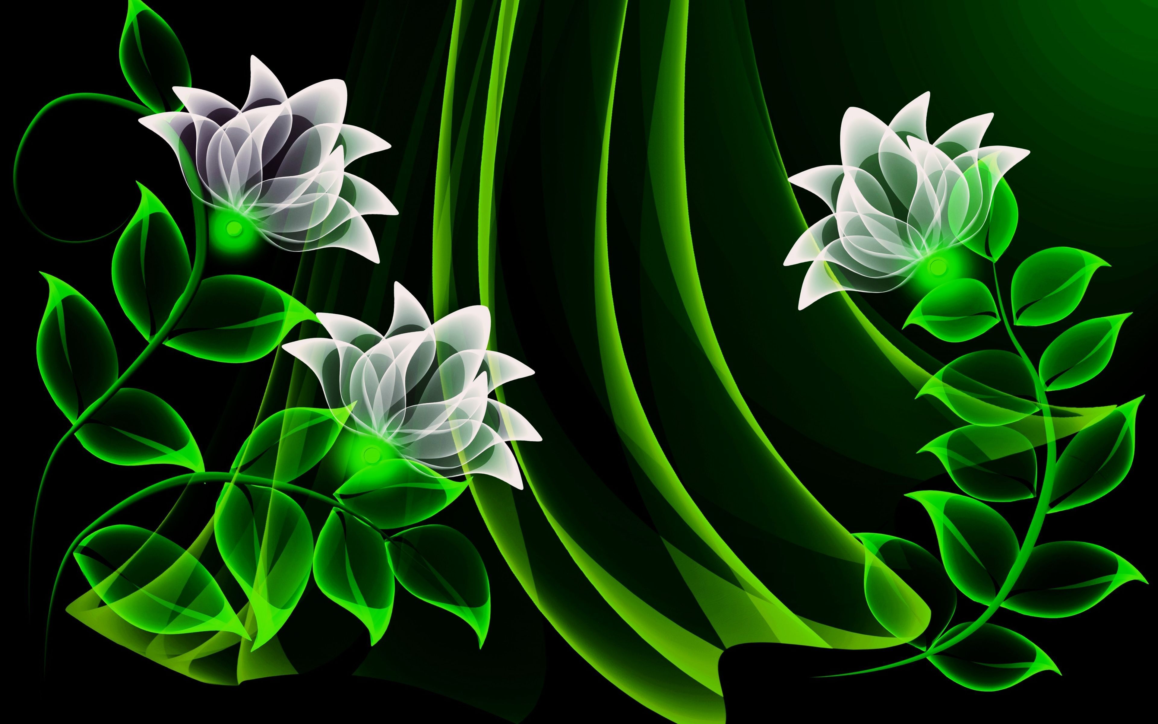 Leuchtende Blumen, Ranken, Grün, Weiße Blüten, Schwarzer Hintergrund, 4K Wallpaper