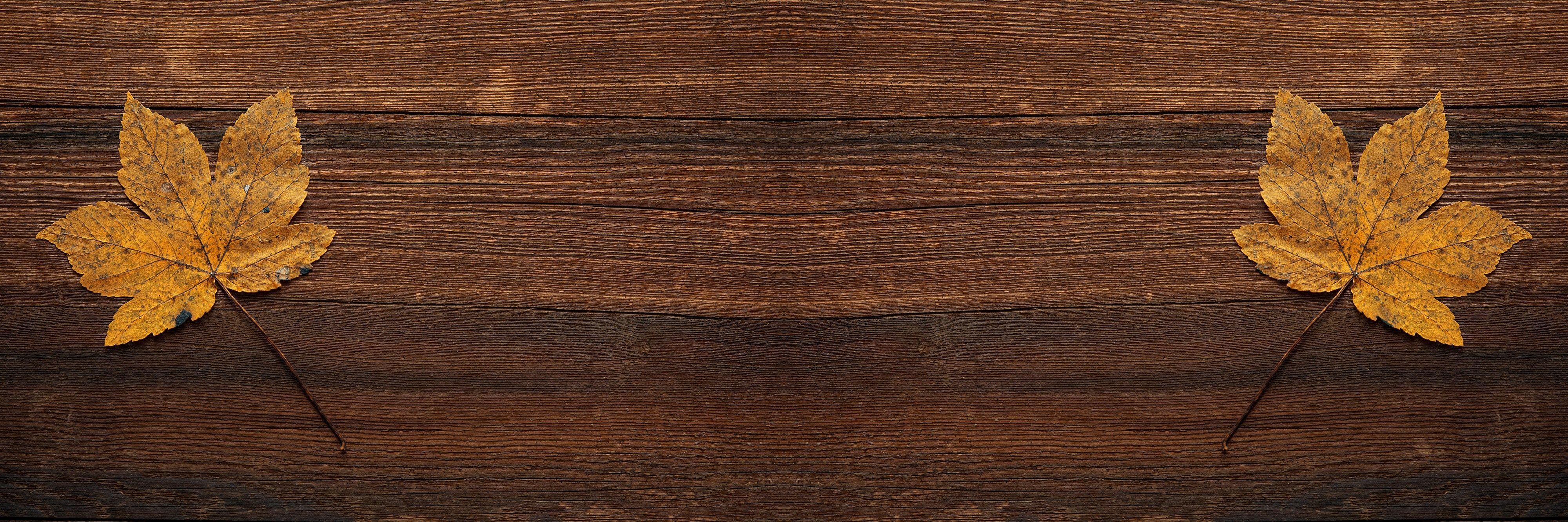 Ahornblätter, Dunkles Holz, Holzbrett, Herbst, Gelbe Blätter, Full HD, PC-Hintergrundbild