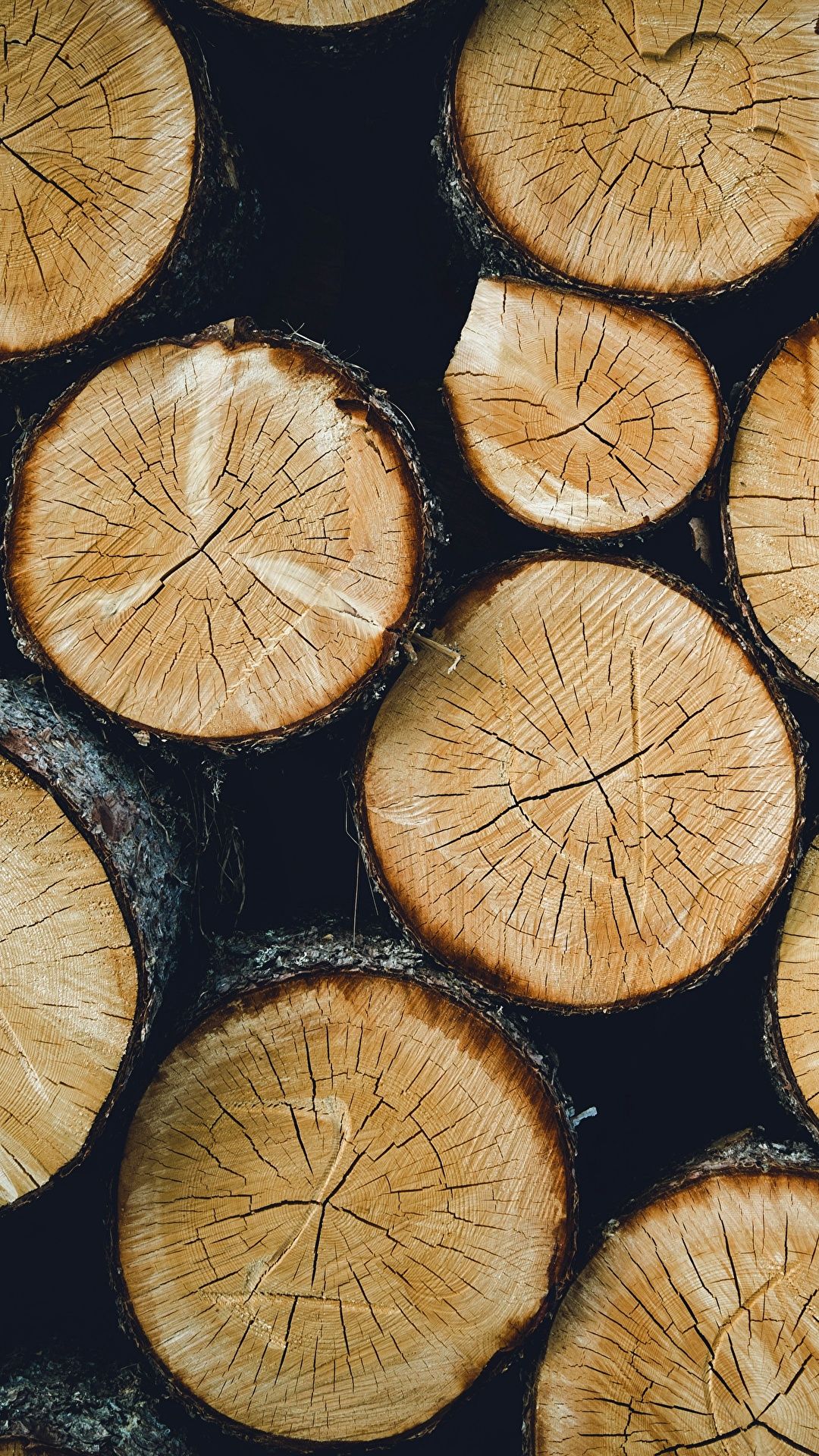 Brennholz, Holzstapel, Baumscheiben, Jahresringe, Kaminholz, Hintergrundbild fürs Handy