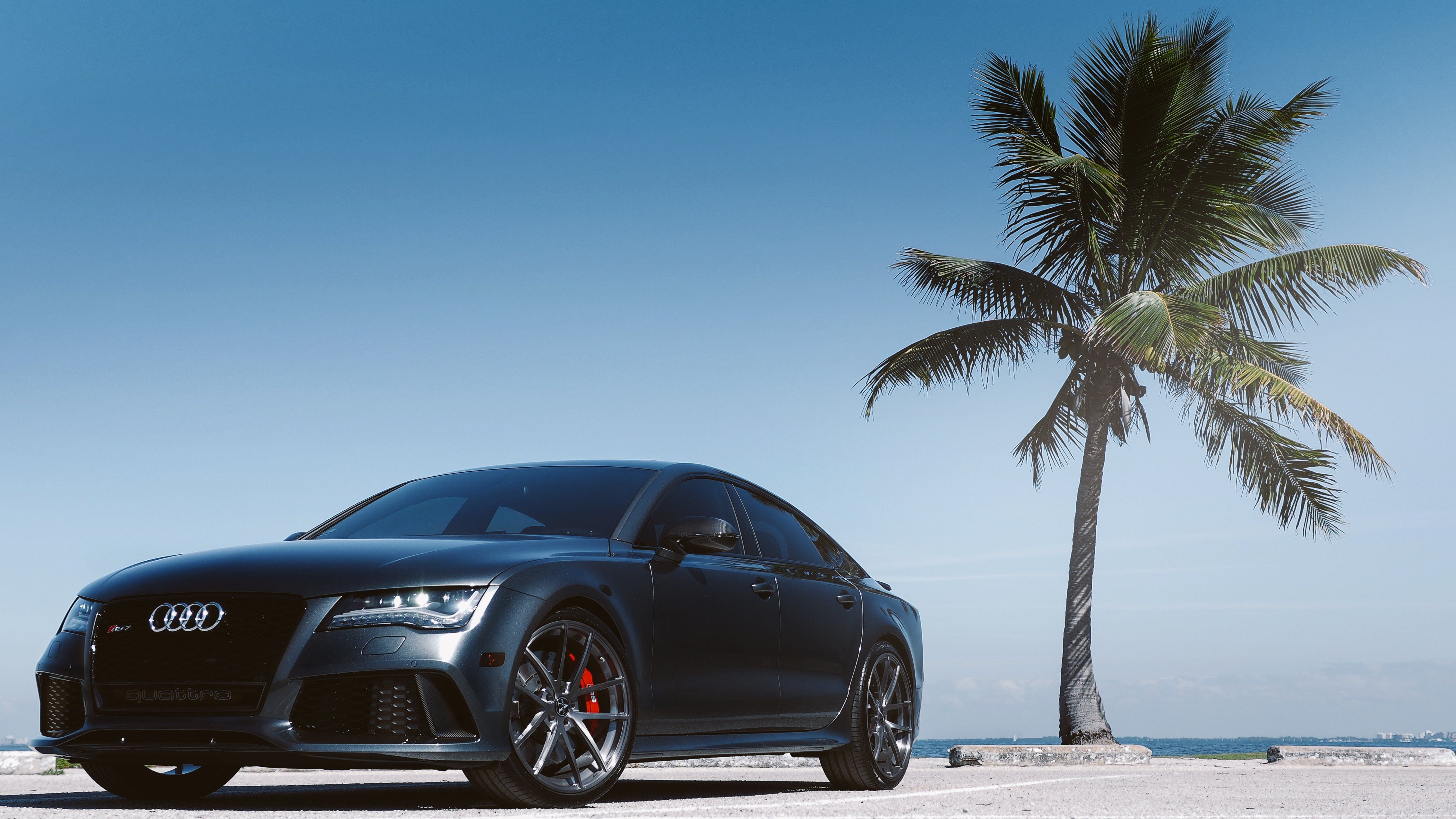 Audi RS7, Schwarz, Palme, Blauer Himmel, Strand, 16:9, 4K-Hintergrundbild für den Desktop