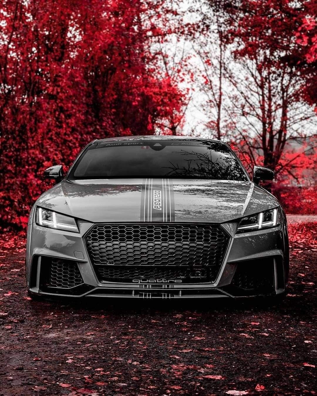 Audi TT RS, Grau, Rote Bäume, Herbst, Frontansicht, Full HD, iPad-Hintergrundbild