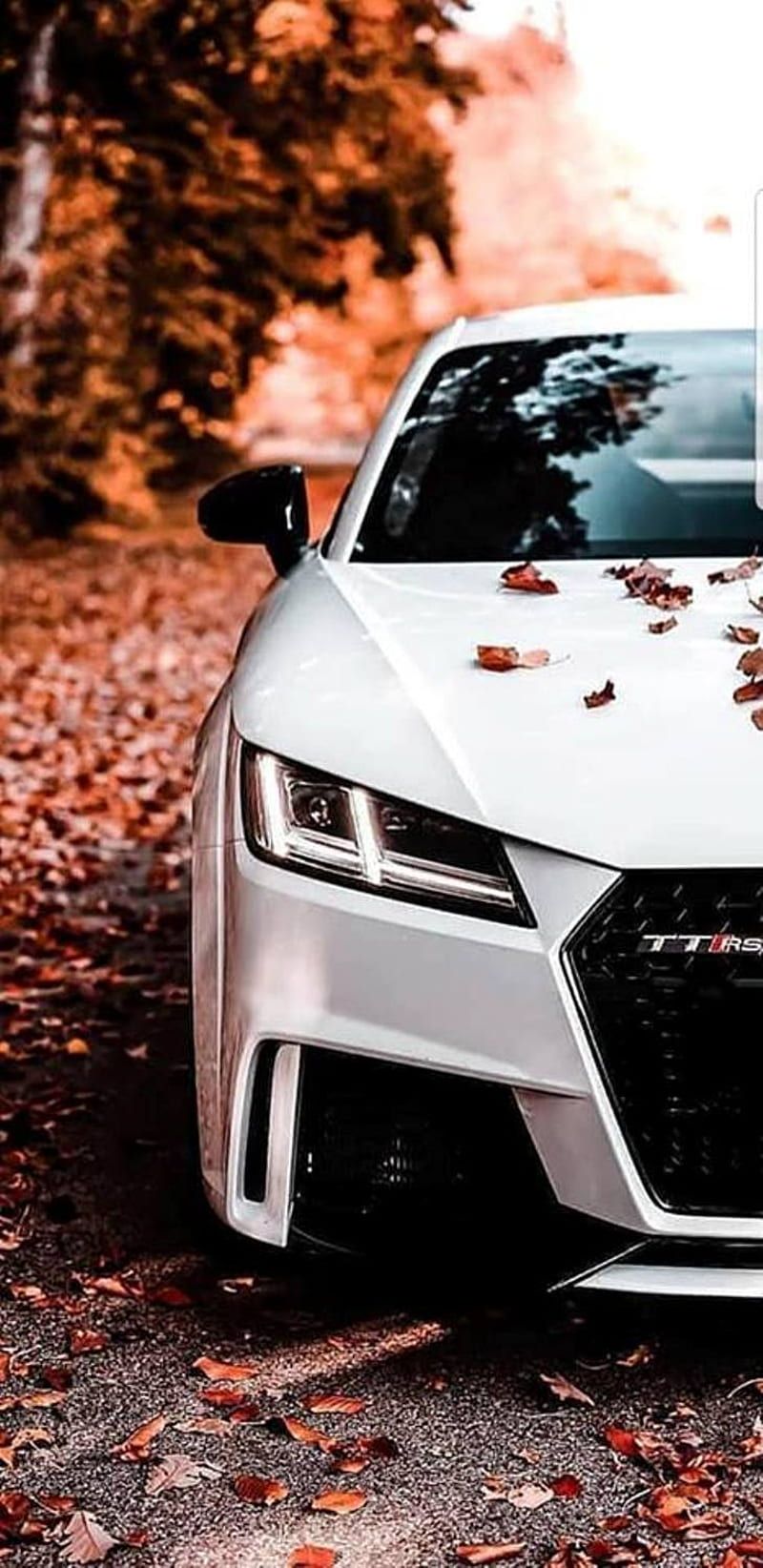 Audi TT, Weiß, Herbstlaub, Detailaufnahme, Orange, HD, Hintergrundbild fürs Handy