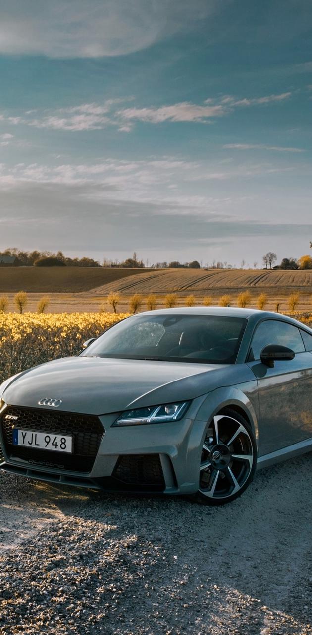 Audi TT RS, Grau, Feld, Abendlicht, Frontansicht, Hochformat, Hintergrundbild fürs Smartphone