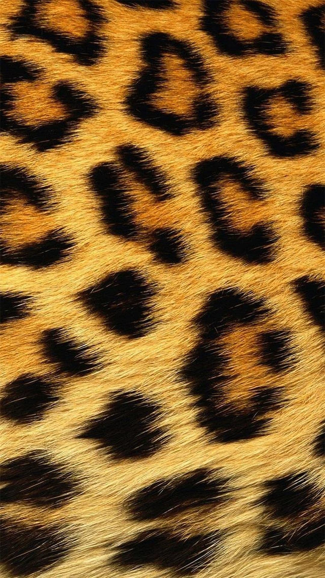 Leopardenmuster, Fell, Animal Print, Orange-Schwarz, Textur, Full HD, Handy-Hintergrundbild