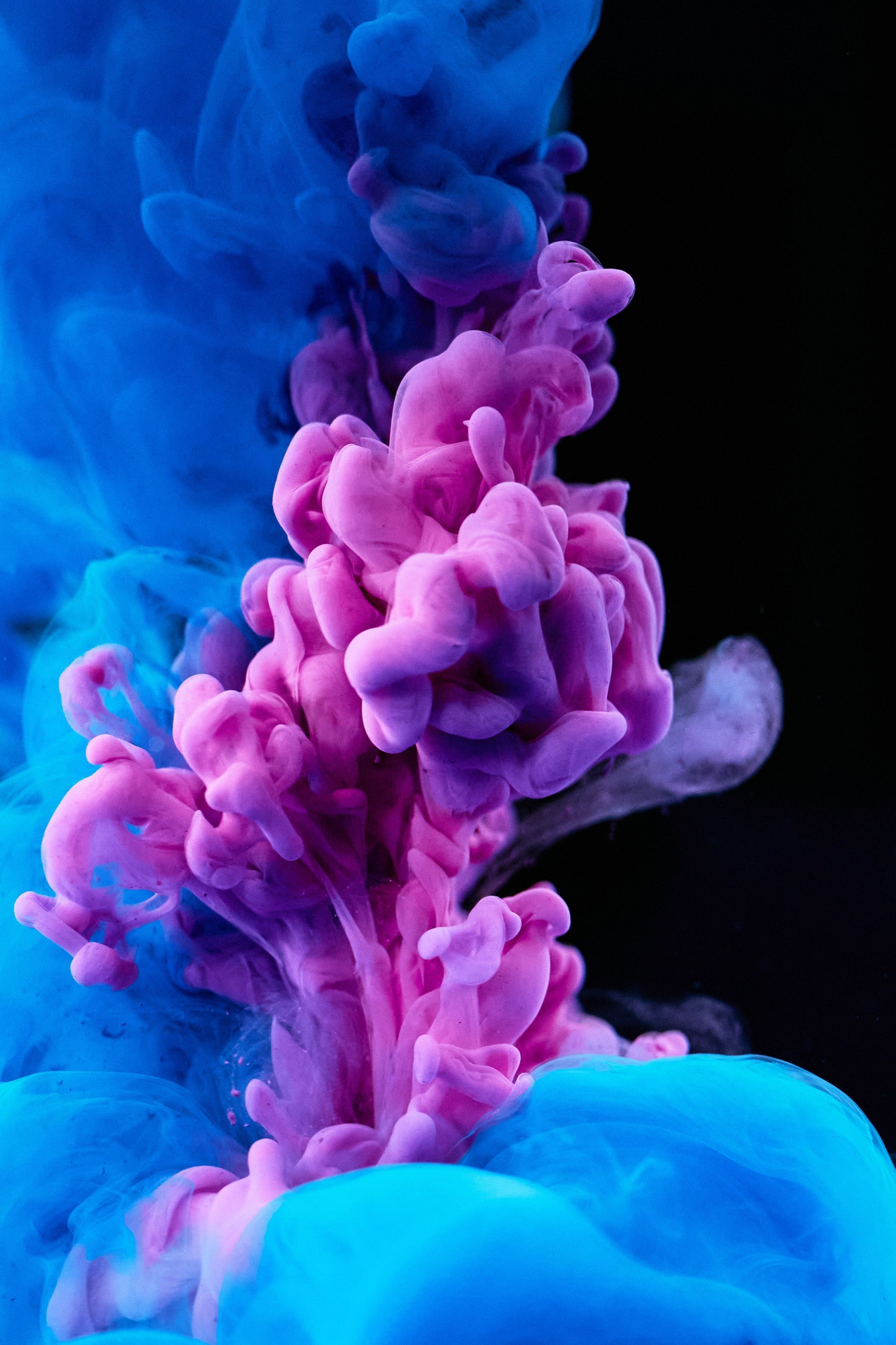 Farbwolke, Tinte im Wasser, Pink, Türkis, Hochformat, QHD+, Hintergrundbild fürs Tablet