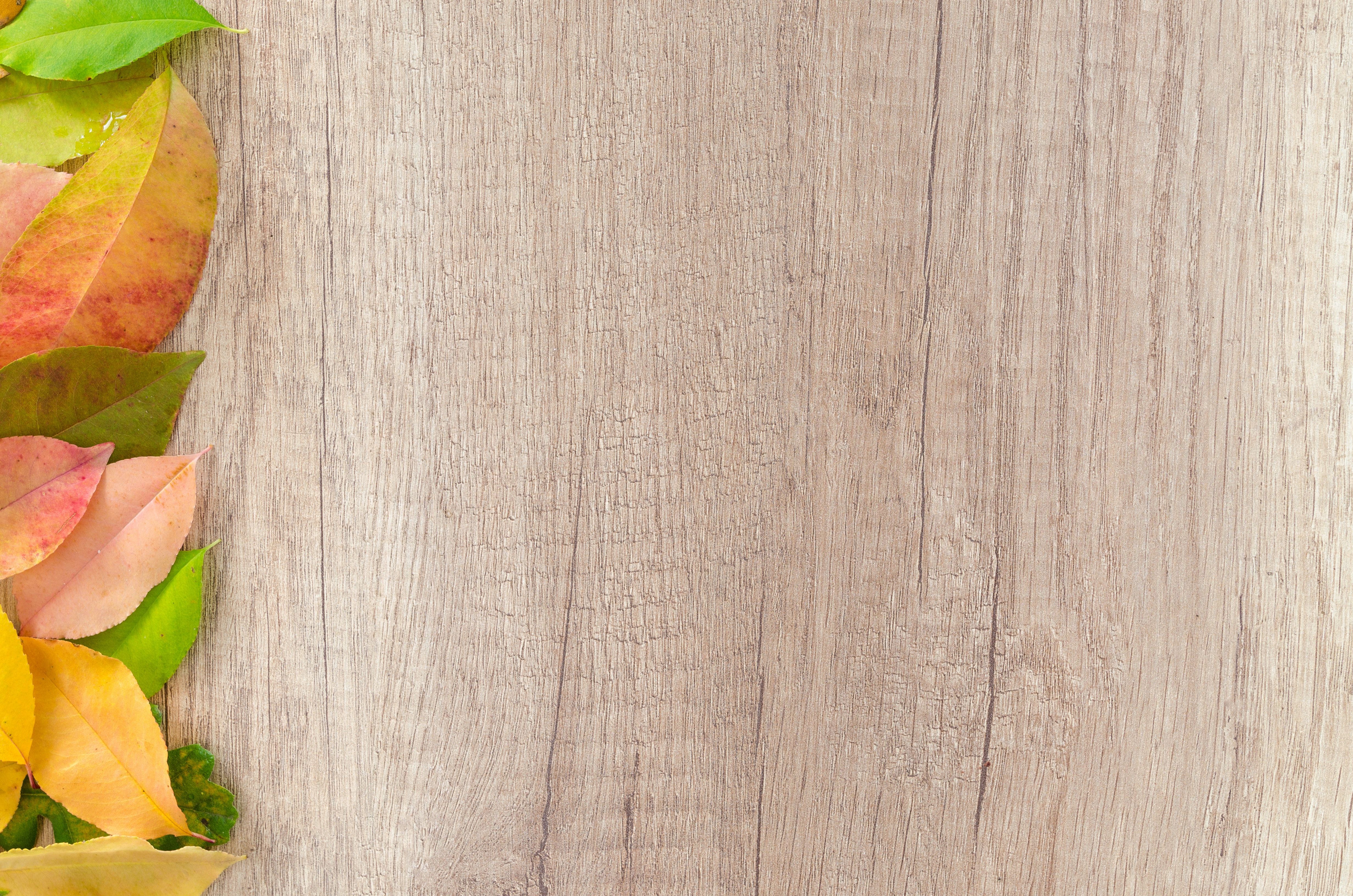 Herbstlaub, Bunte Blätter, Helles Holz, Holzbrett, Herbst, 4K-Hintergrundbild für PC