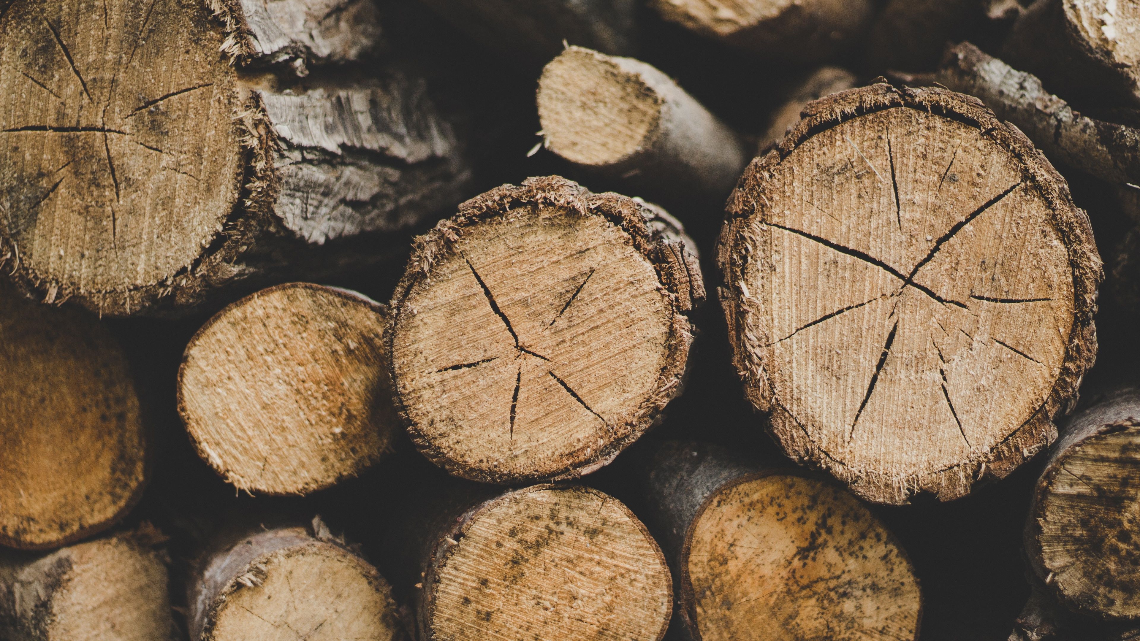 Holzstapel, Brennholz, Baumstämme, Jahresringe, Kaminholz, 4K, Breitbild-Hintergrundbild