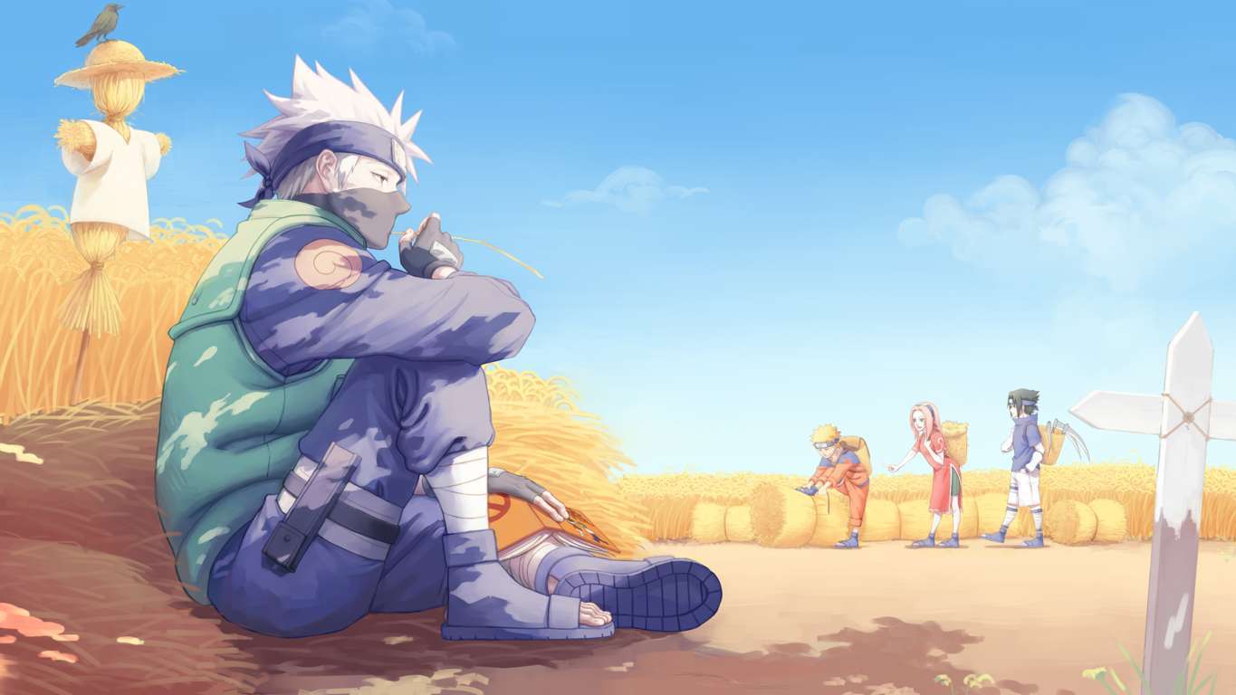 Kakashi Hatake, Team 7, Weizenfeld, Sommer, Blauer Himmel, HD, Laptop-Hintergrundbild
