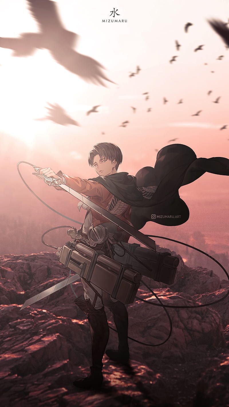 Eren Jäger, Attack on Titan, Vögel, Manöverausrüstung, Sonnenuntergang, HD, iPhone-Hintergrundbild