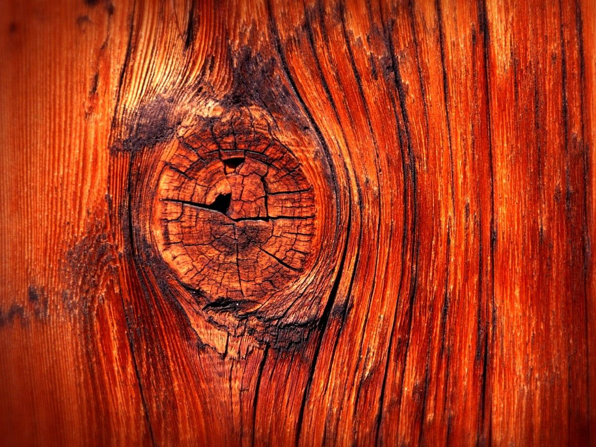 Astloch, Holzmaserung, Orange, Nahaufnahme, Holzstruktur, Hintergrundbild fürs iPad