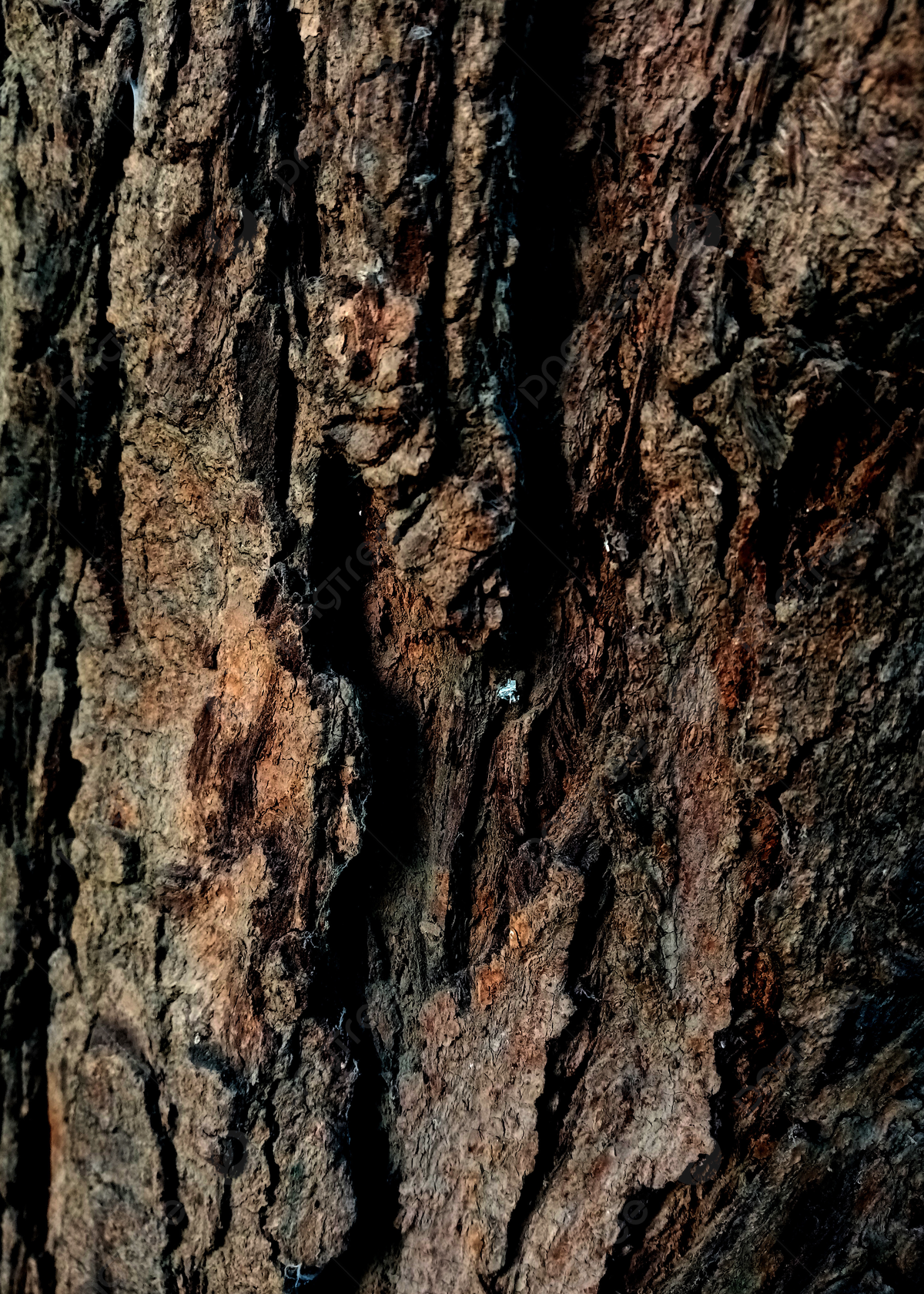 Baumrinde, Baumstamm, Rindenstruktur, Dunkelbraun, Natur, Full HD, iPad-Hintergrundbild
