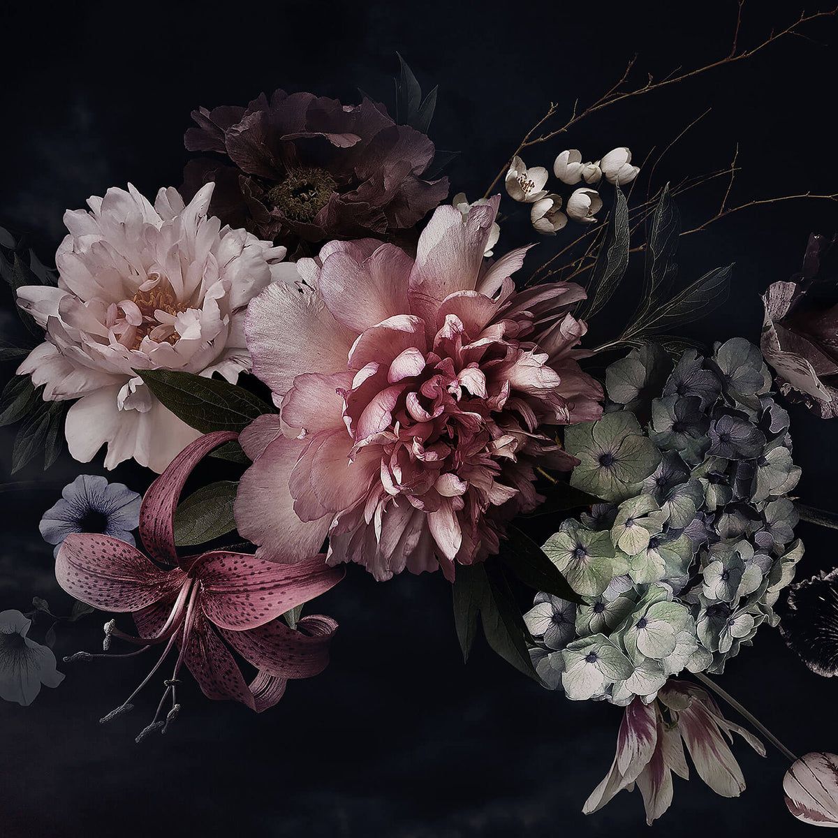 Blumenstrauß, Pfingstrosen, Dunkler Hintergrund, Stillleben, Vintage, Wallpaper
