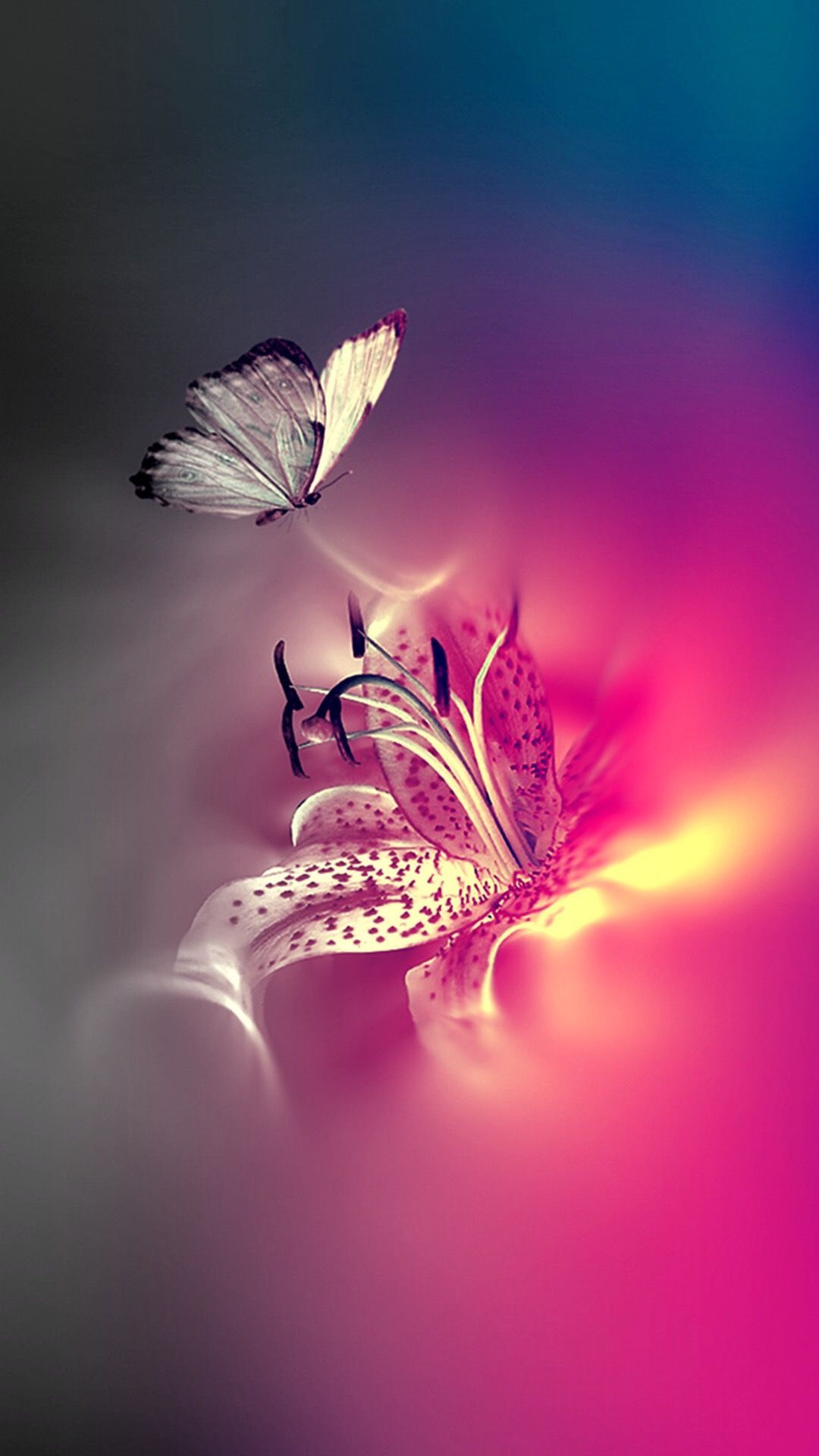 Schmetterling, Blüte, Farbverlauf, Pink und Blau, Digitale Kunst, Hintergrundbild fürs Handy