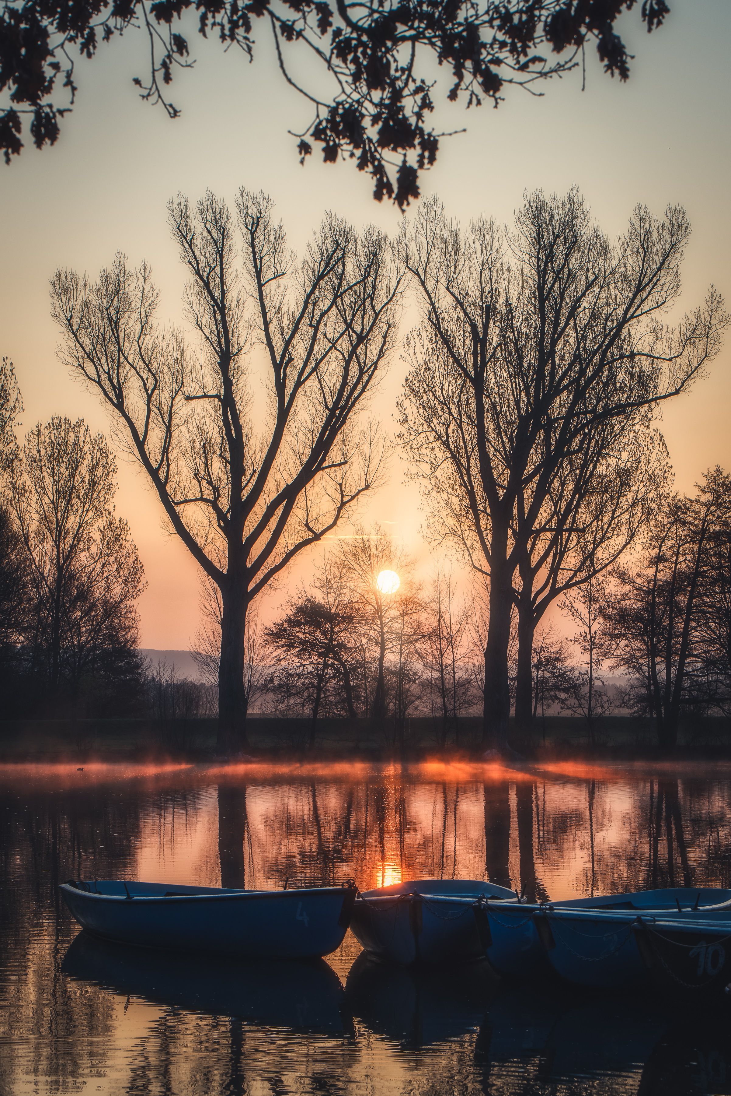 Kahle Bäume, Sonnenuntergang, Teich, Spiegelung, Herbst, Hintergrundbild fürs Tablet