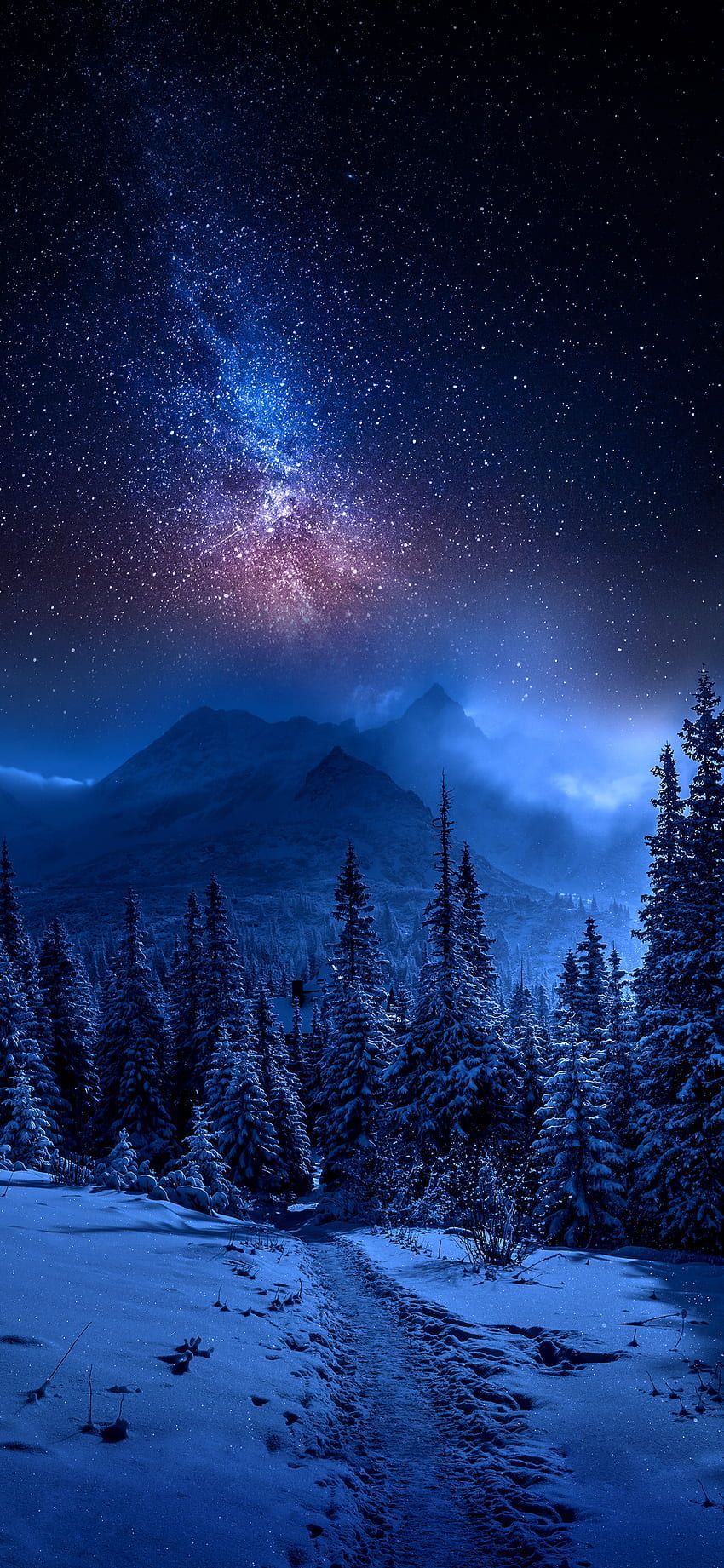 Milchstraße, Winterwald, Schnee, Nachthimmel, Blau, HD, Handy-Hintergrund im Hochformat