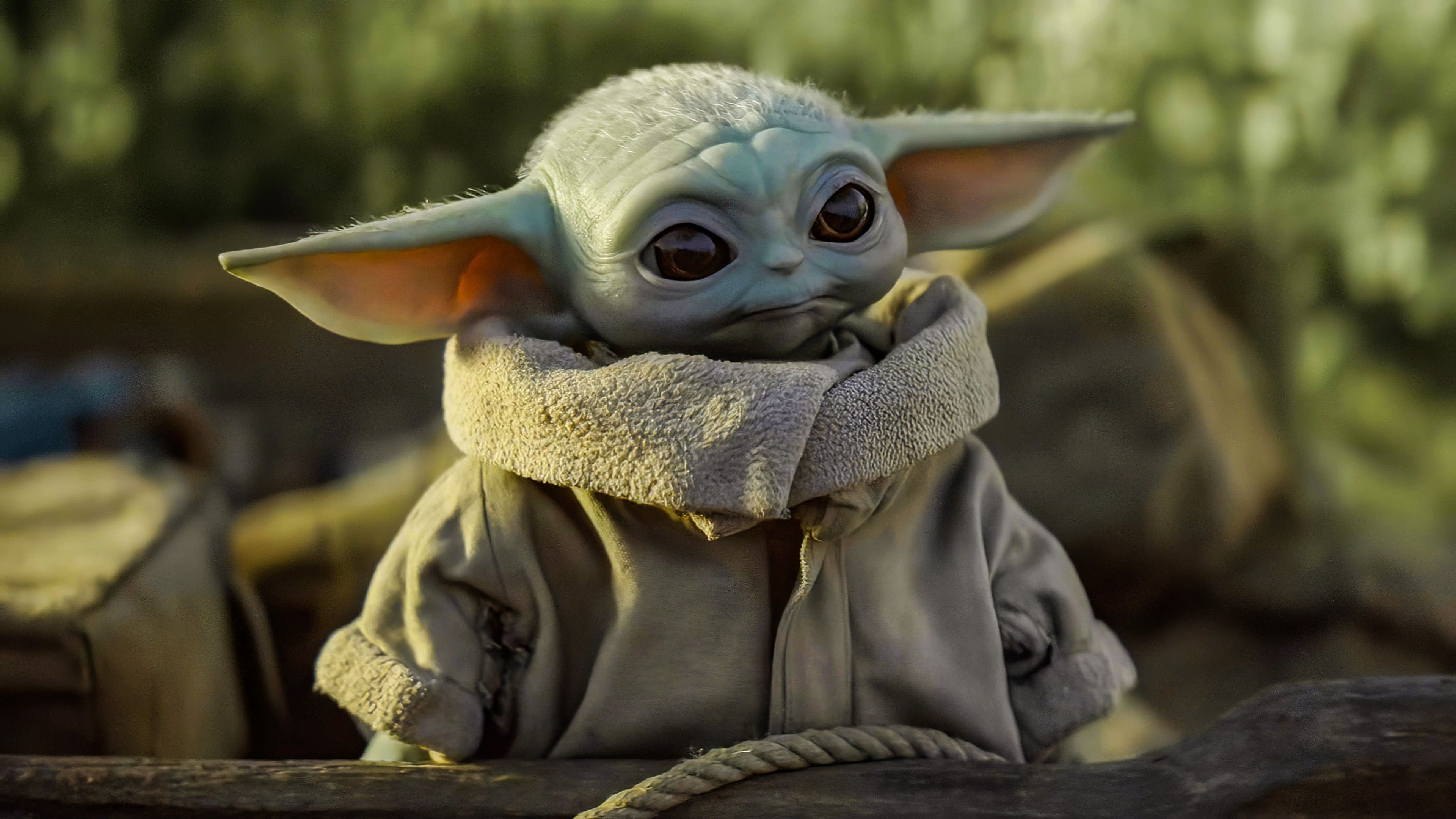 Grogu, The Mandalorian, Nahaufnahme, Große Ohren, Grün, 4K, Hintergrund für den Desktop