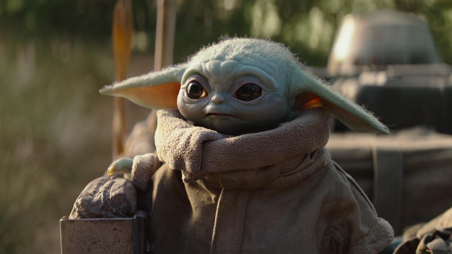 Grogu, Das Kind, The Mandalorian, Sonnenlicht, Wald, 16:9, Full-HD-Hintergrundbild für den Desktop
