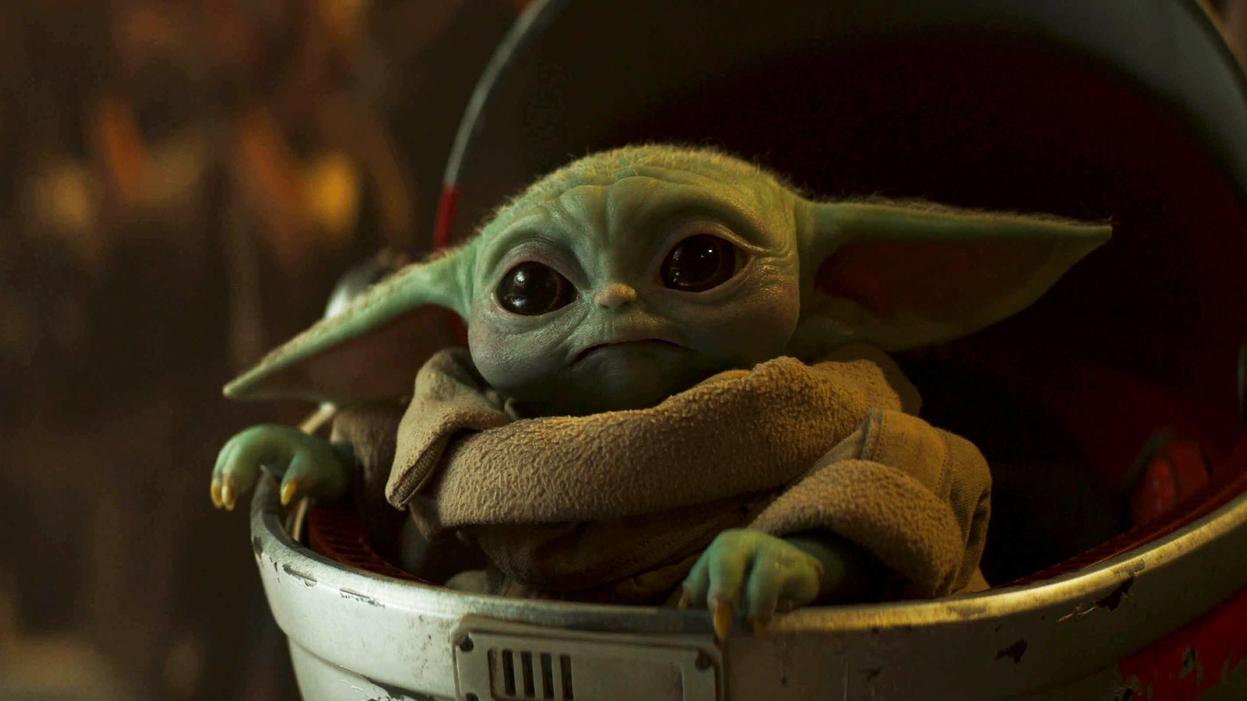 Grogu, Schwebewiege, The Mandalorian, Warmes Licht, Niedlich, 2560x1440, Desktop-Hintergrund