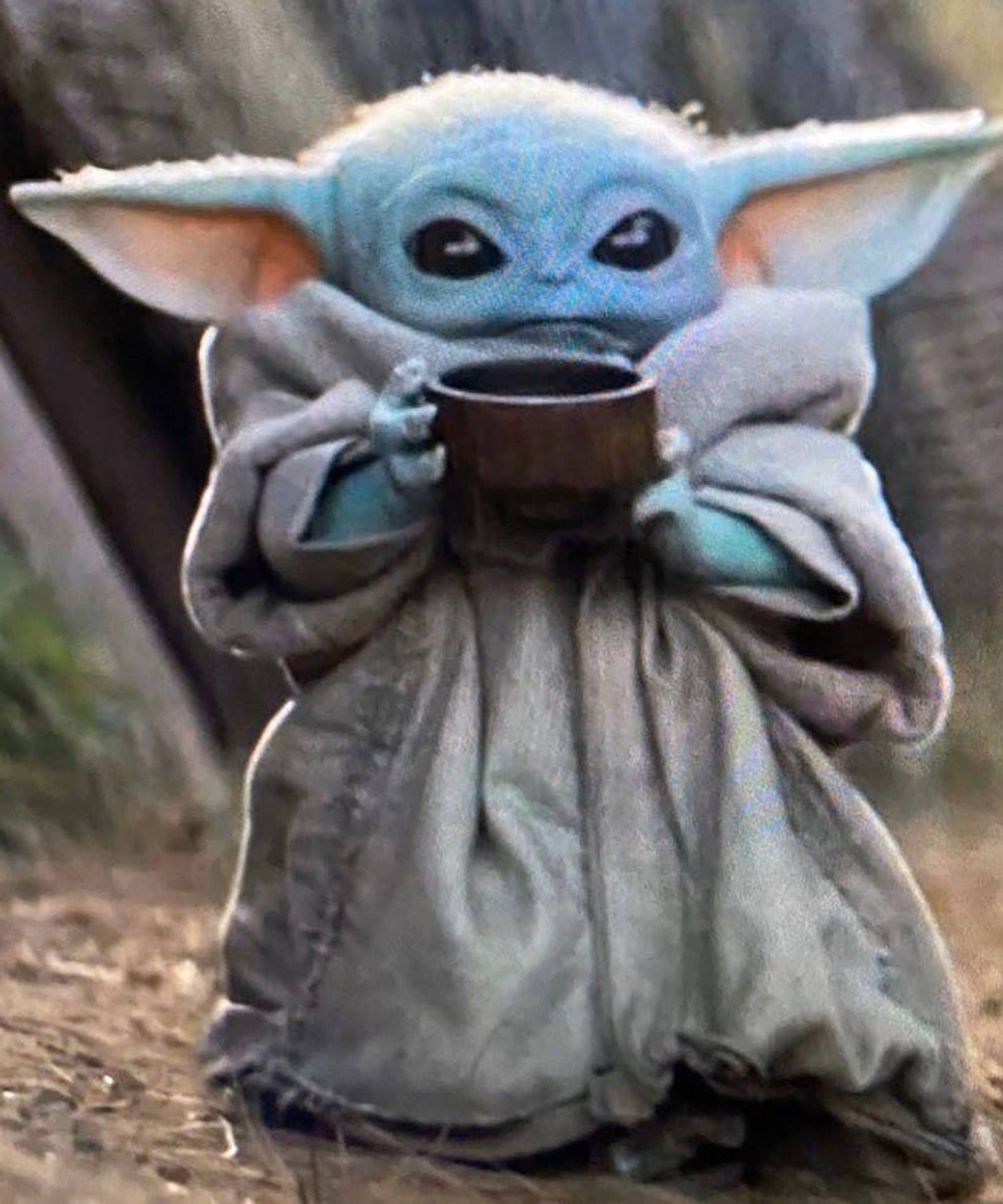 Grogu, Tasse, Mantel, Wald, Niedlich, QHD+, Hintergrundbild fürs Tablet