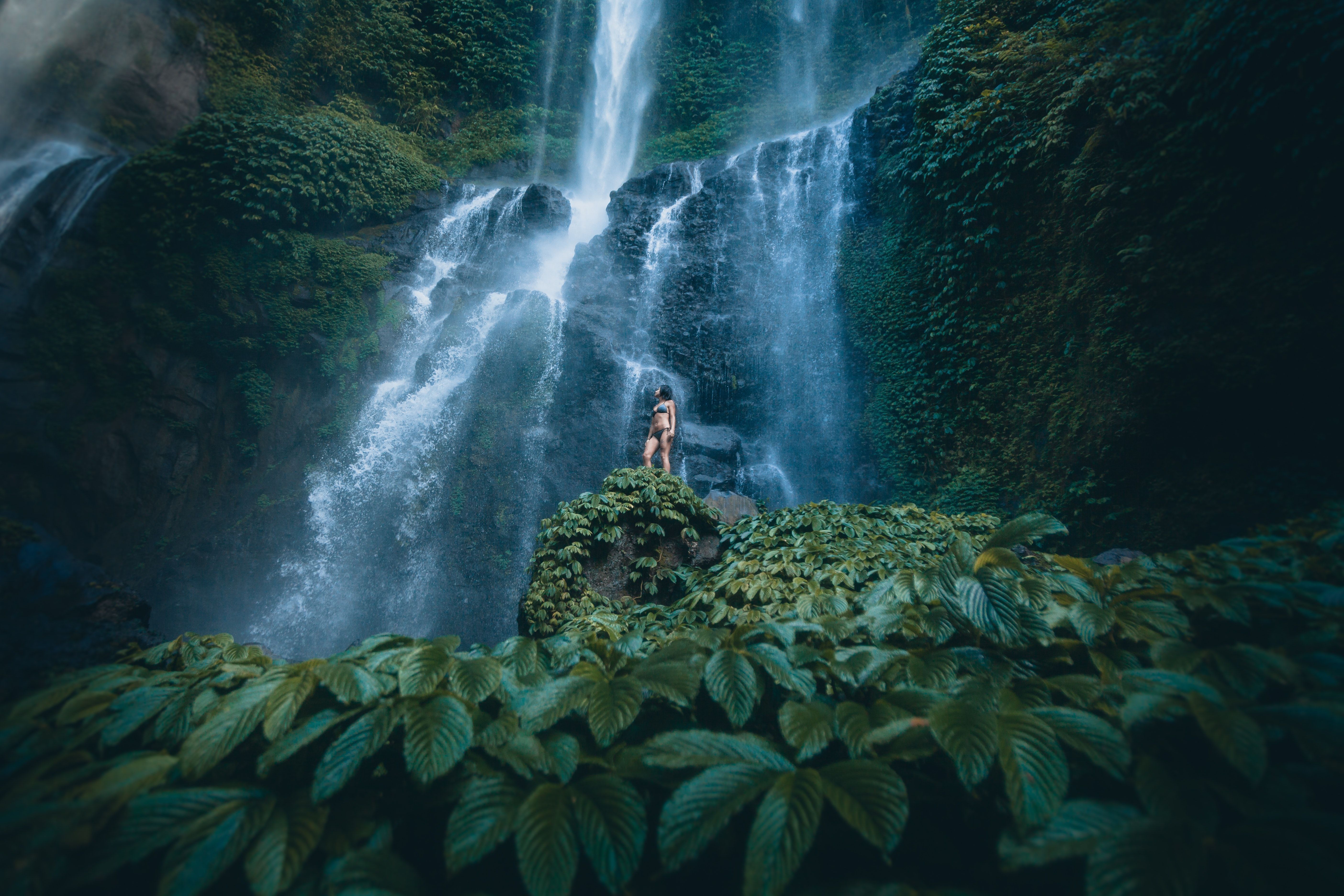 Bali, Indonesien, Wasserfall, Dschungel, Regenwald, Grün, 5K, PC-Hintergrundbild