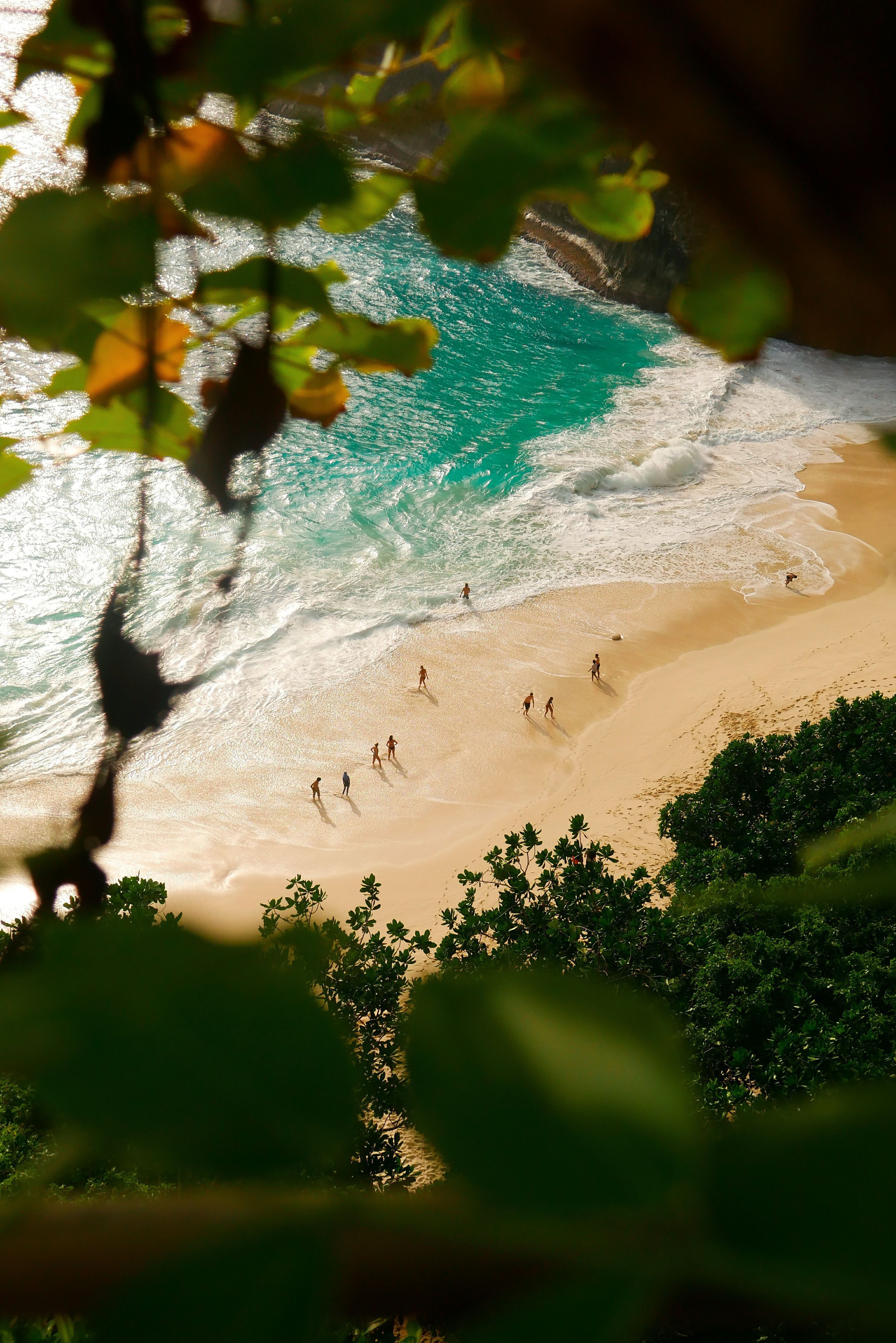 Bali, Strand, Bucht, Blick durch Blätter, Türkisblaues Meer, QHD+, Tablet-Hintergrund
