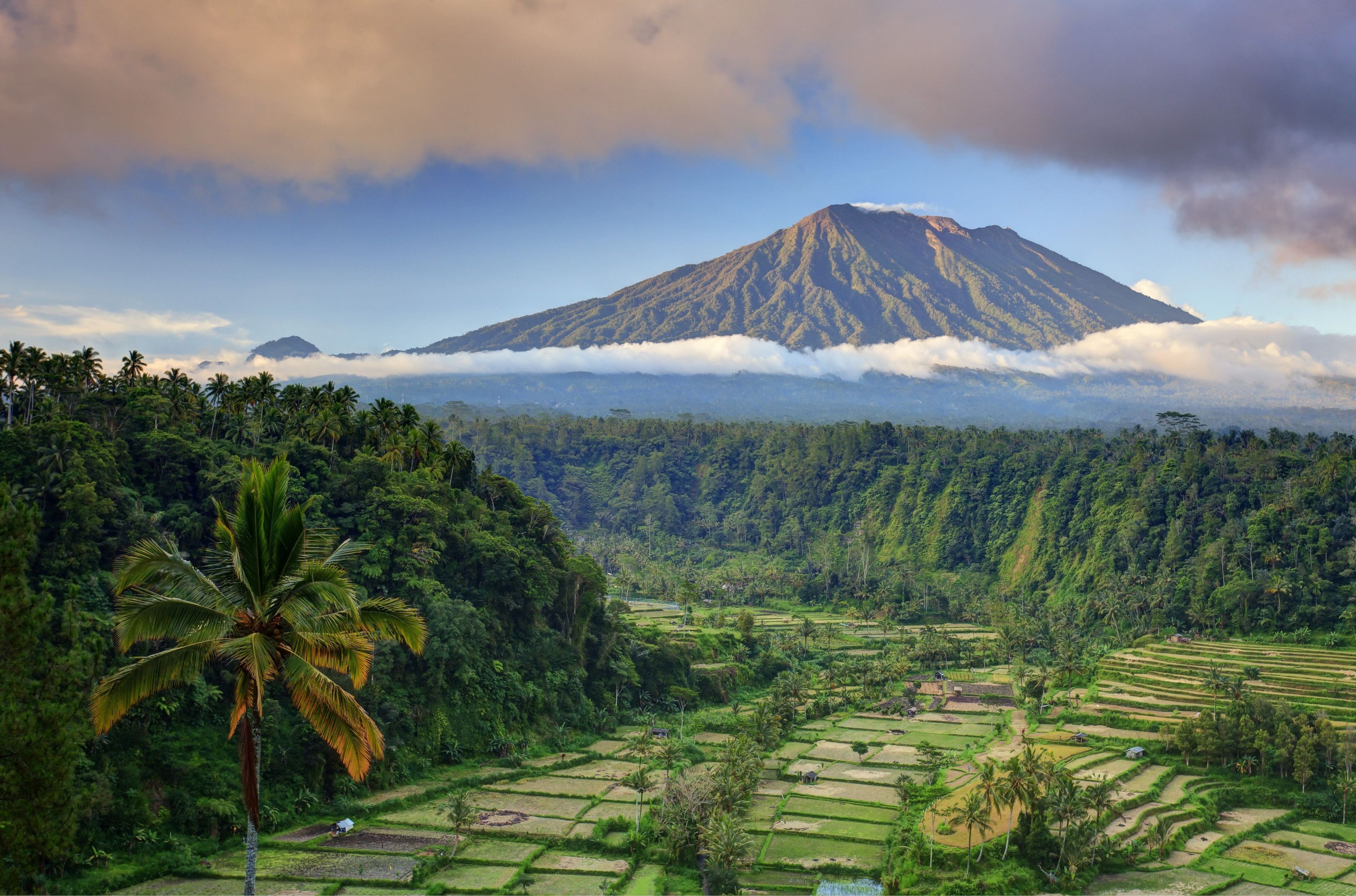 Agung, Bali, Vulkan, Reisterrassen, Palmen, Tropenlandschaft, 4K, PC-Hintergrundbild
