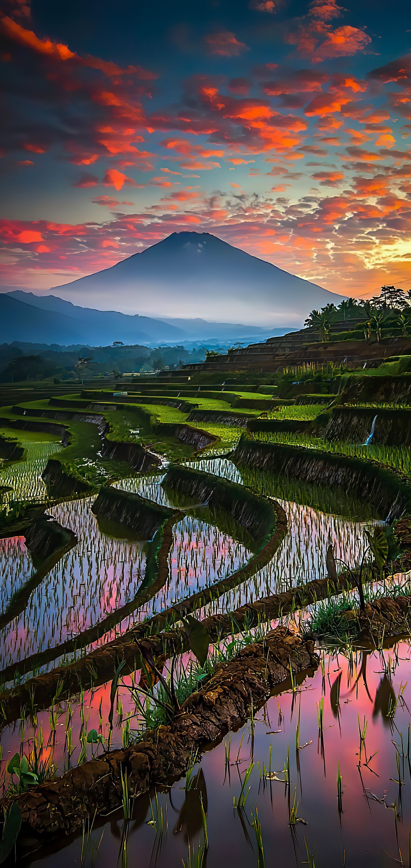 Bali, Reisterrassen, Vulkan, Roter Himmel, Sonnenuntergang, Full HD, Handy-Hintergrundbild