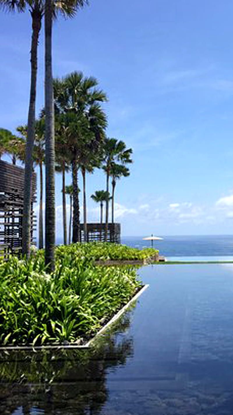 Bali, Infinity-Pool, Palmen, Resort, Ozean, HD, Hintergrundbild fürs Handy